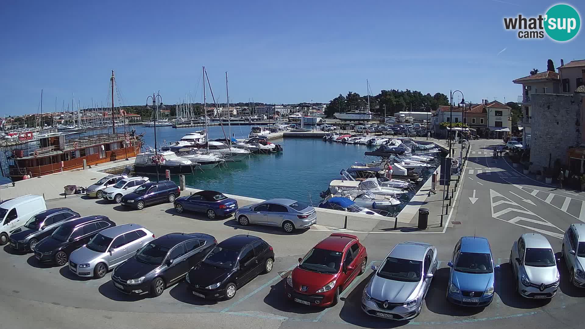 Novigrad | Porporela marina