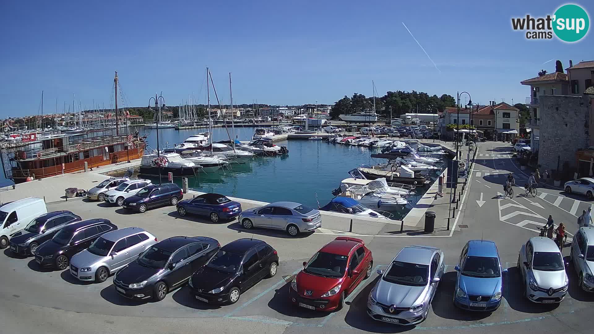 Novigrad | Porporela marina
