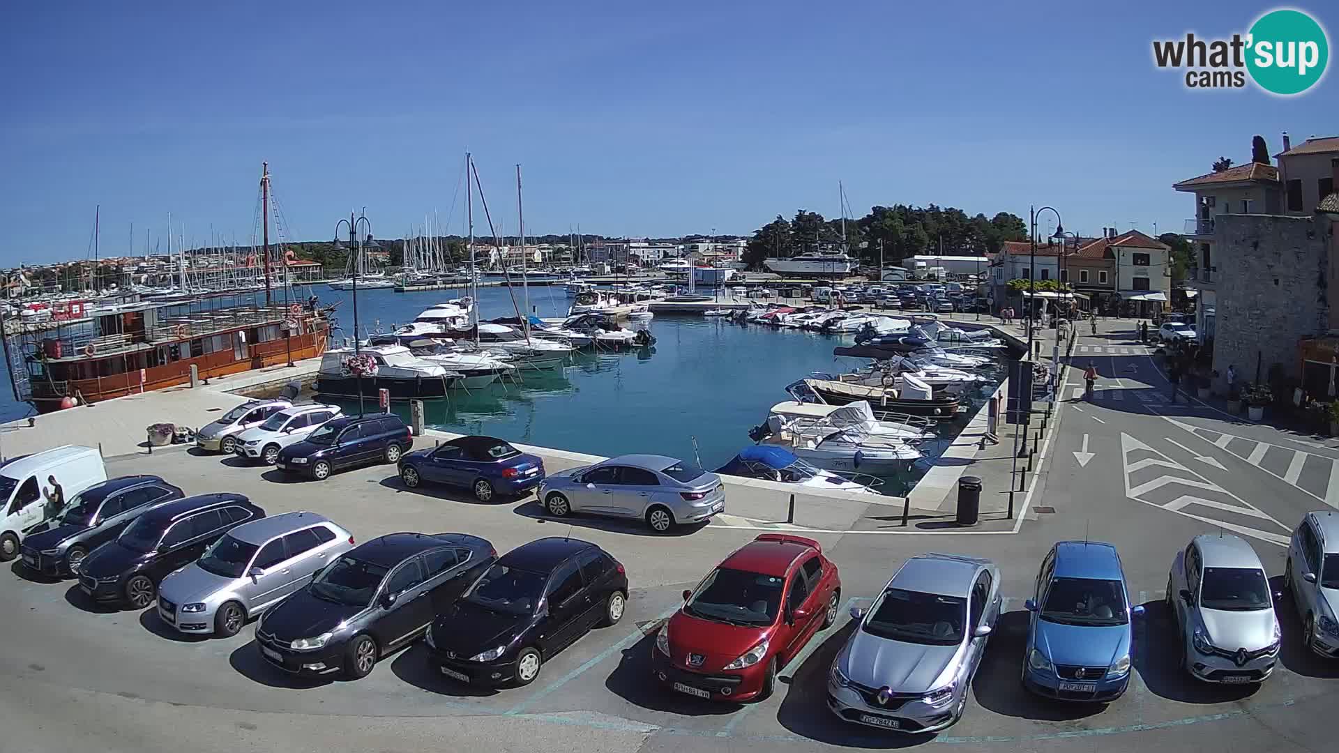 Novigrad | Porporela marina