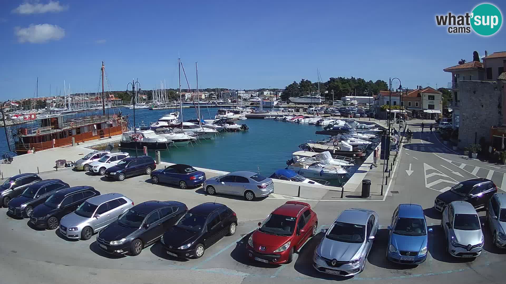 Novigrad | Porporela marina
