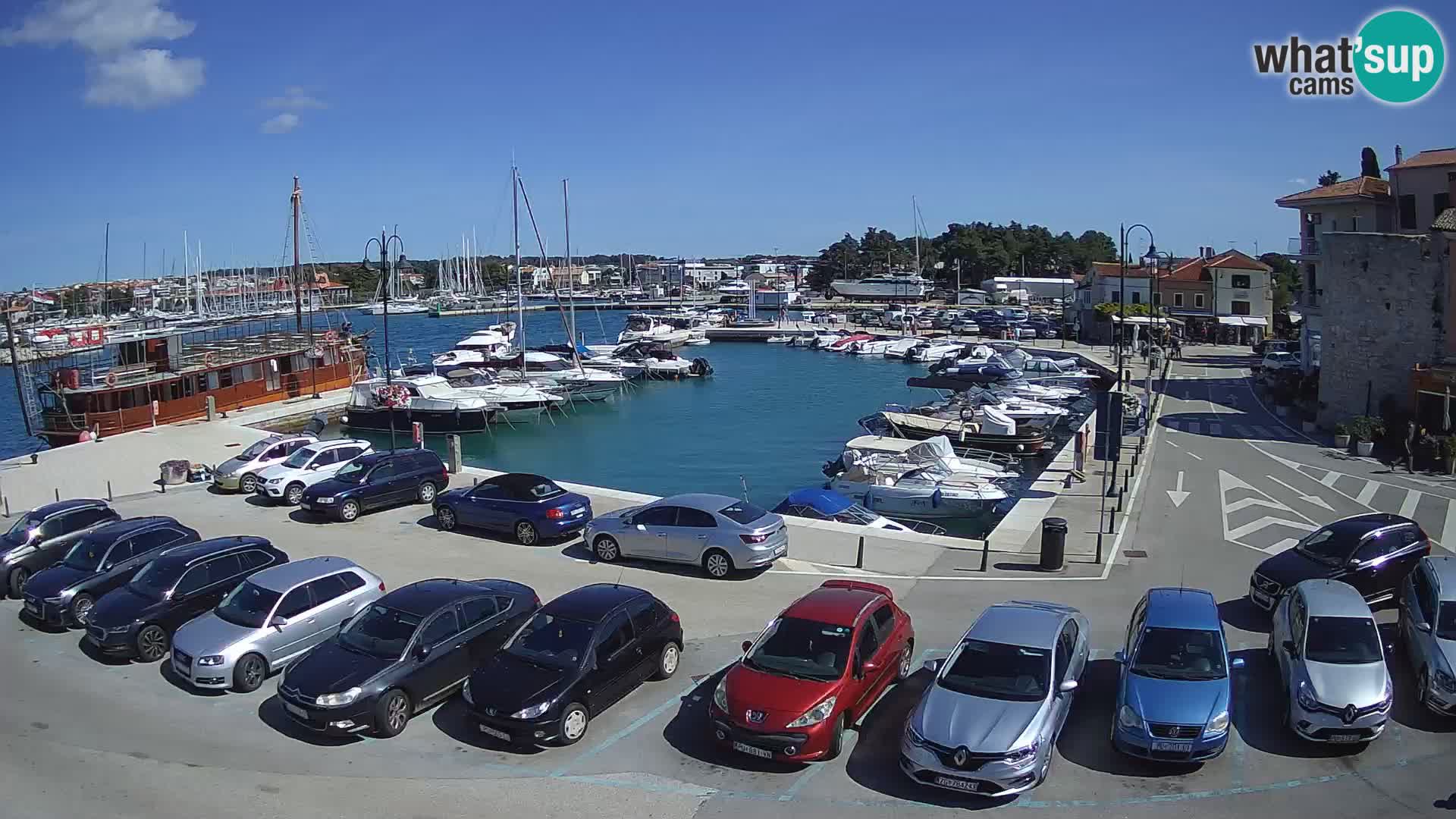 Novigrad | Porporela marina