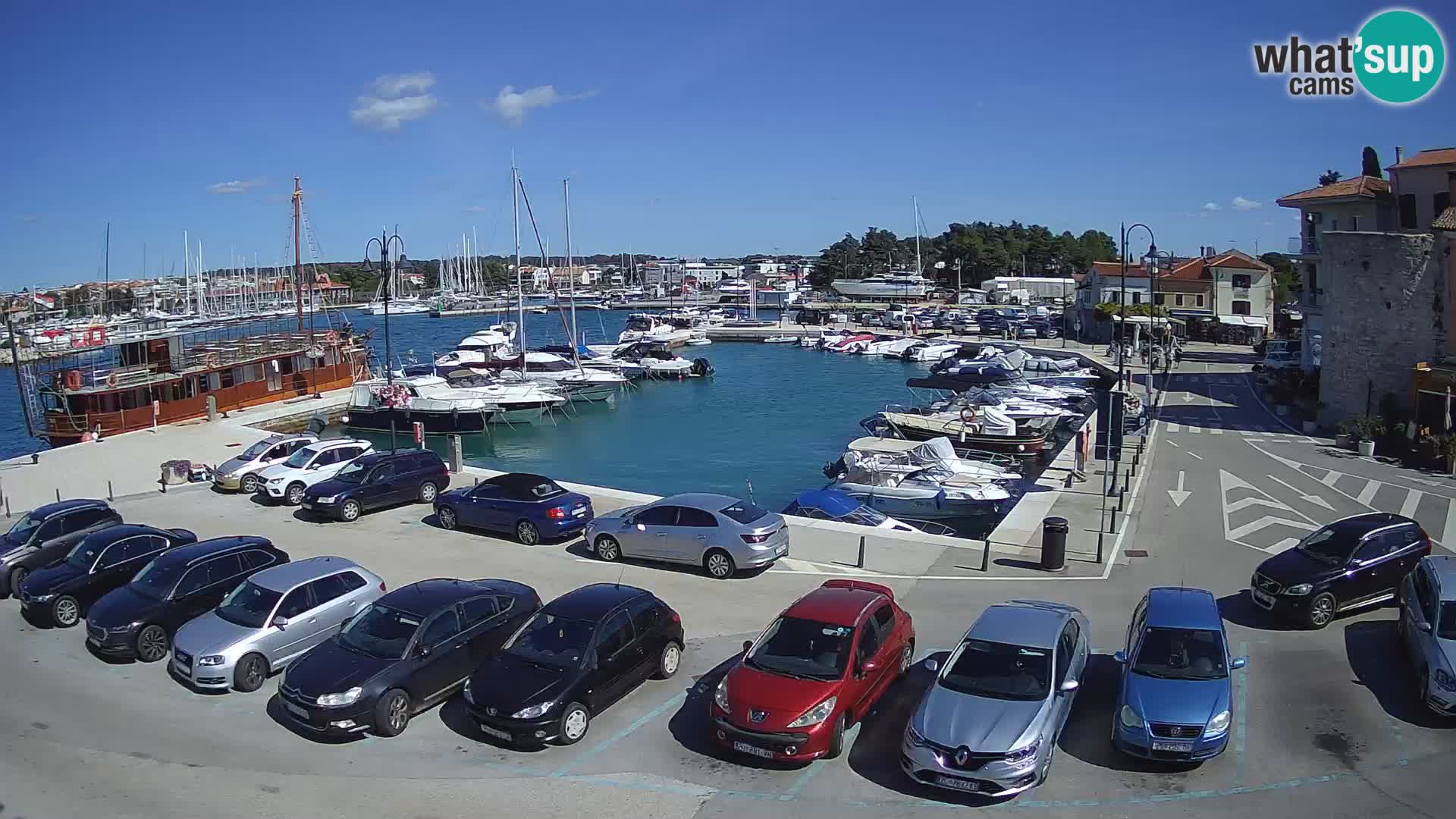 Novigrad | Porporela marina