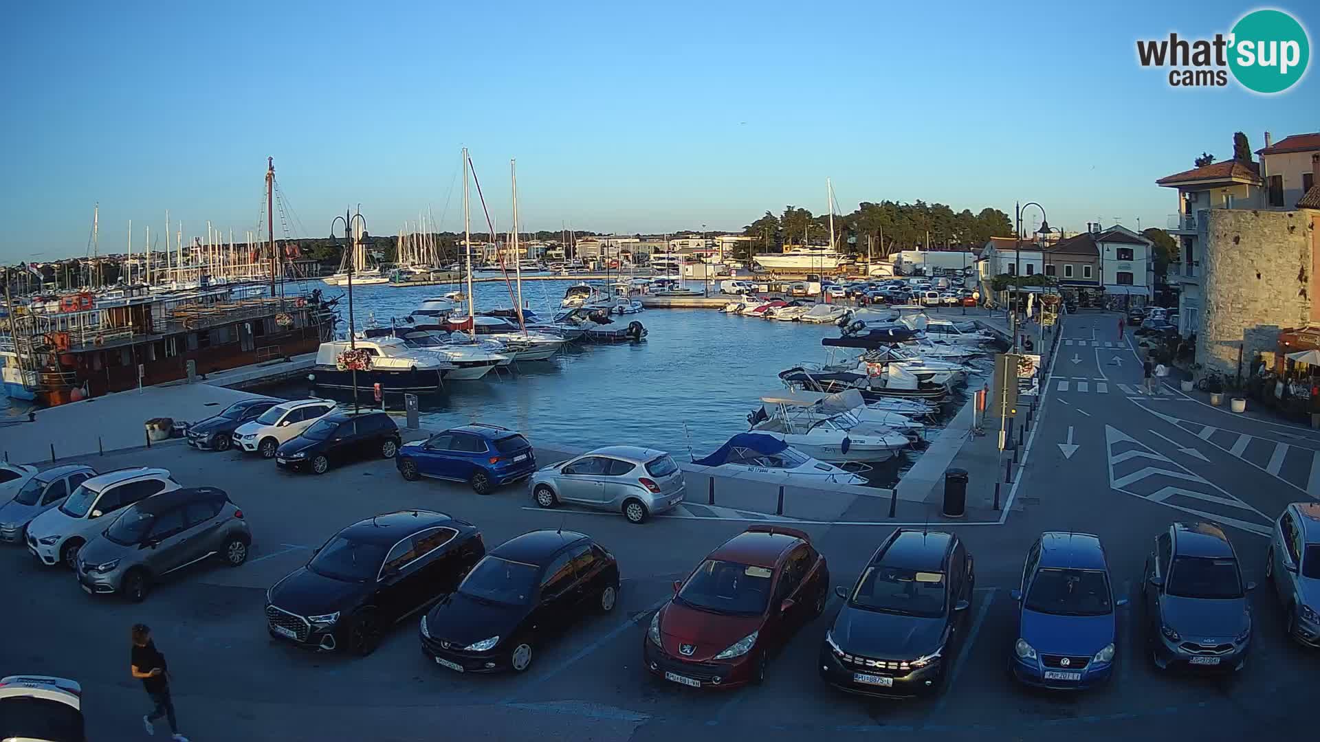 Novigrad | Porporela marina