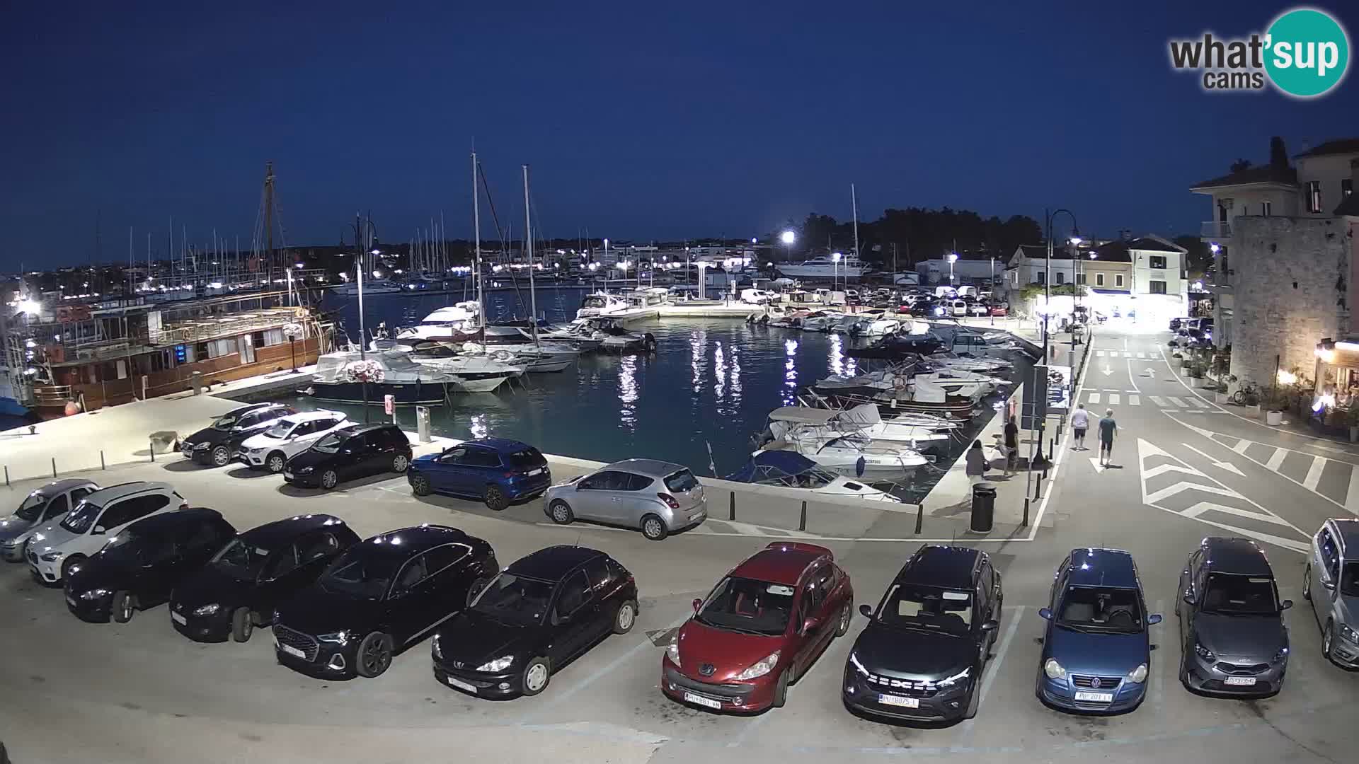 Novigrad | Porporela marina