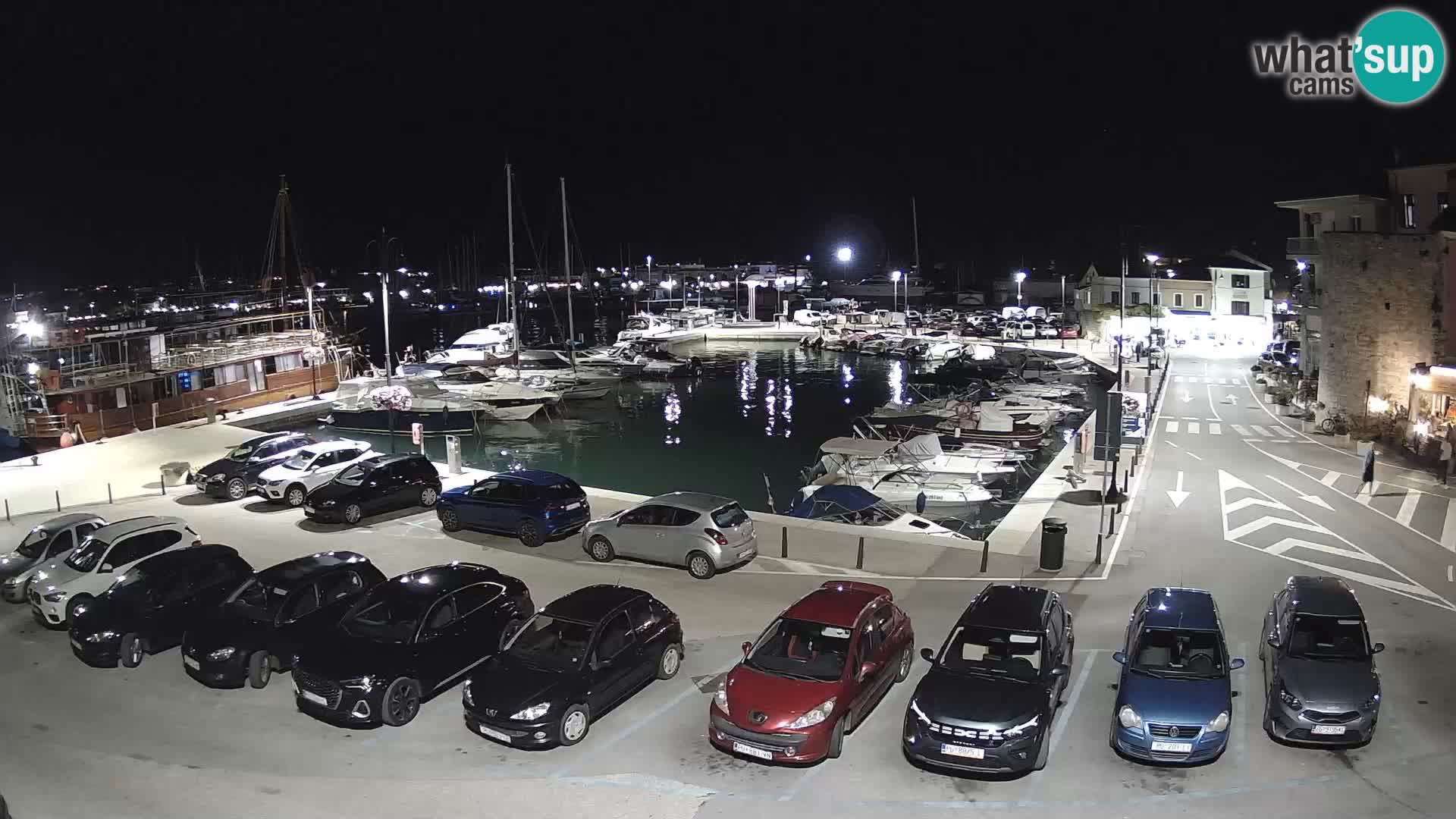 Novigrad | Porporela marina