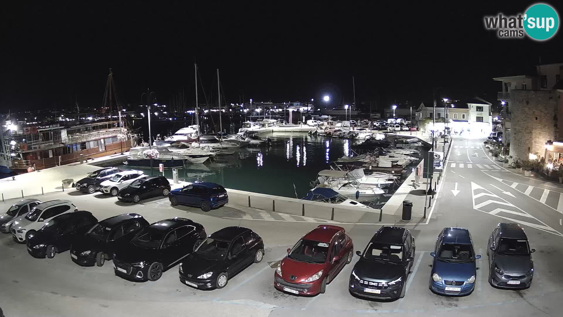Novigrad | Porporela marina