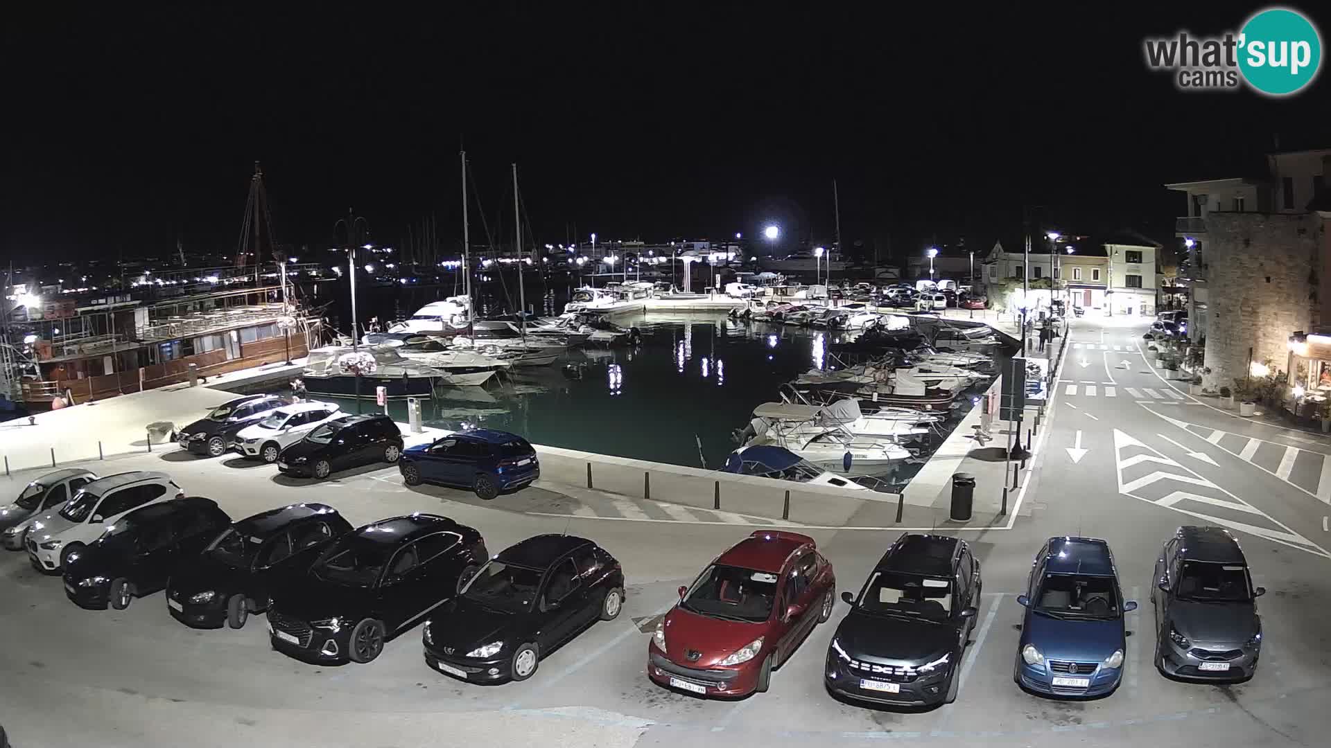 Novigrad | Porporela marina