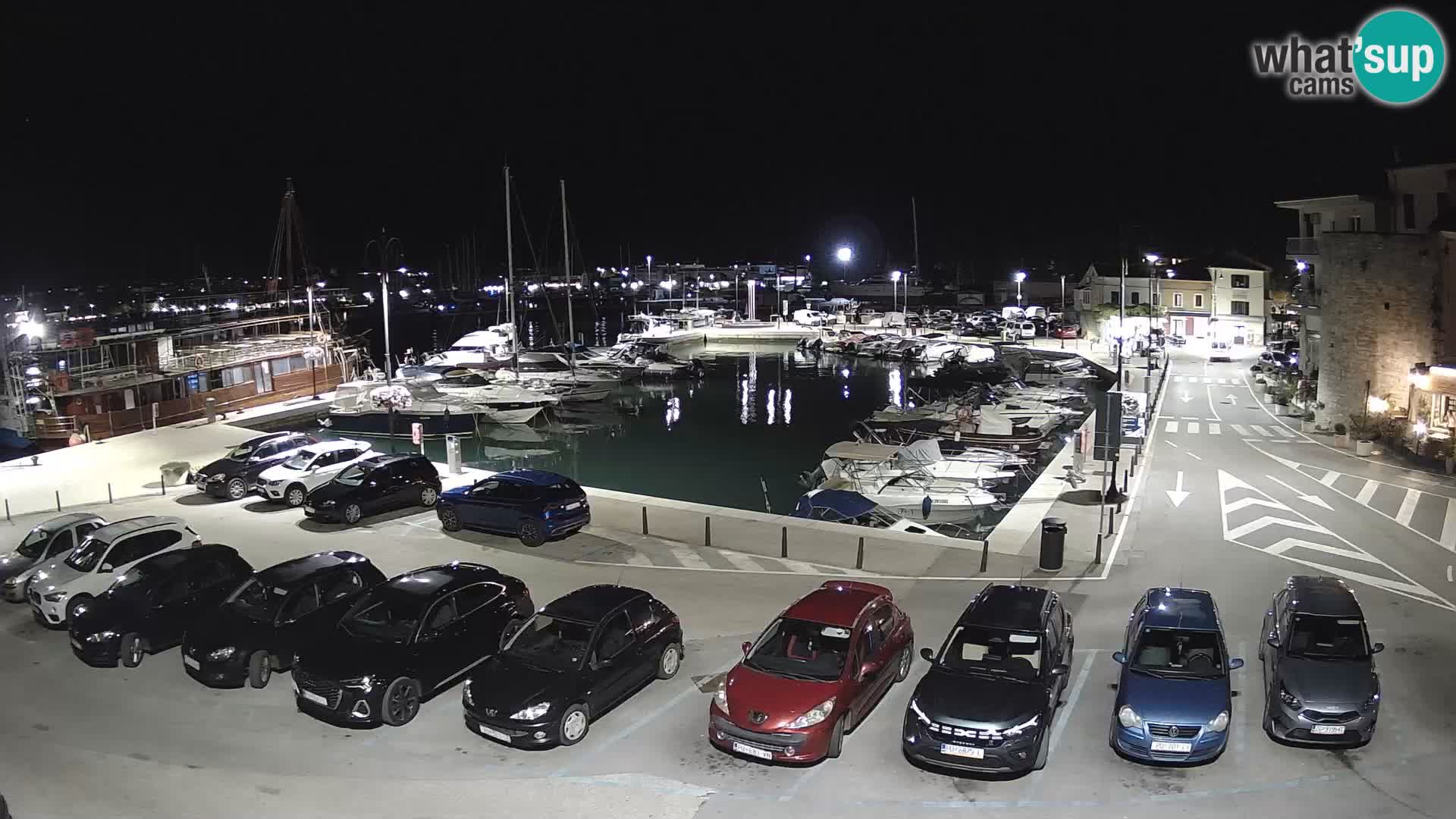 Novigrad | Porporela marina