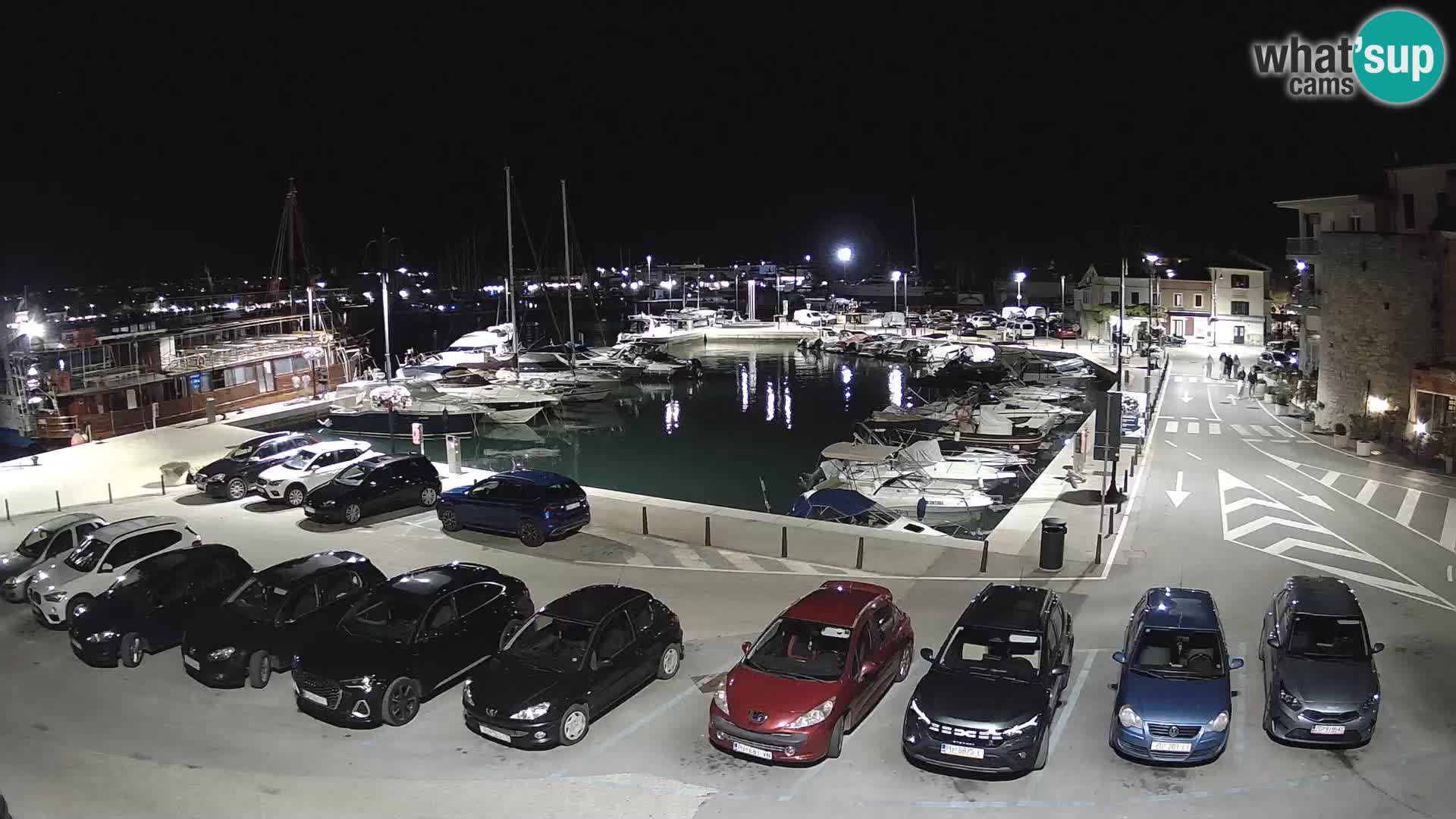 Novigrad | Porporela marina
