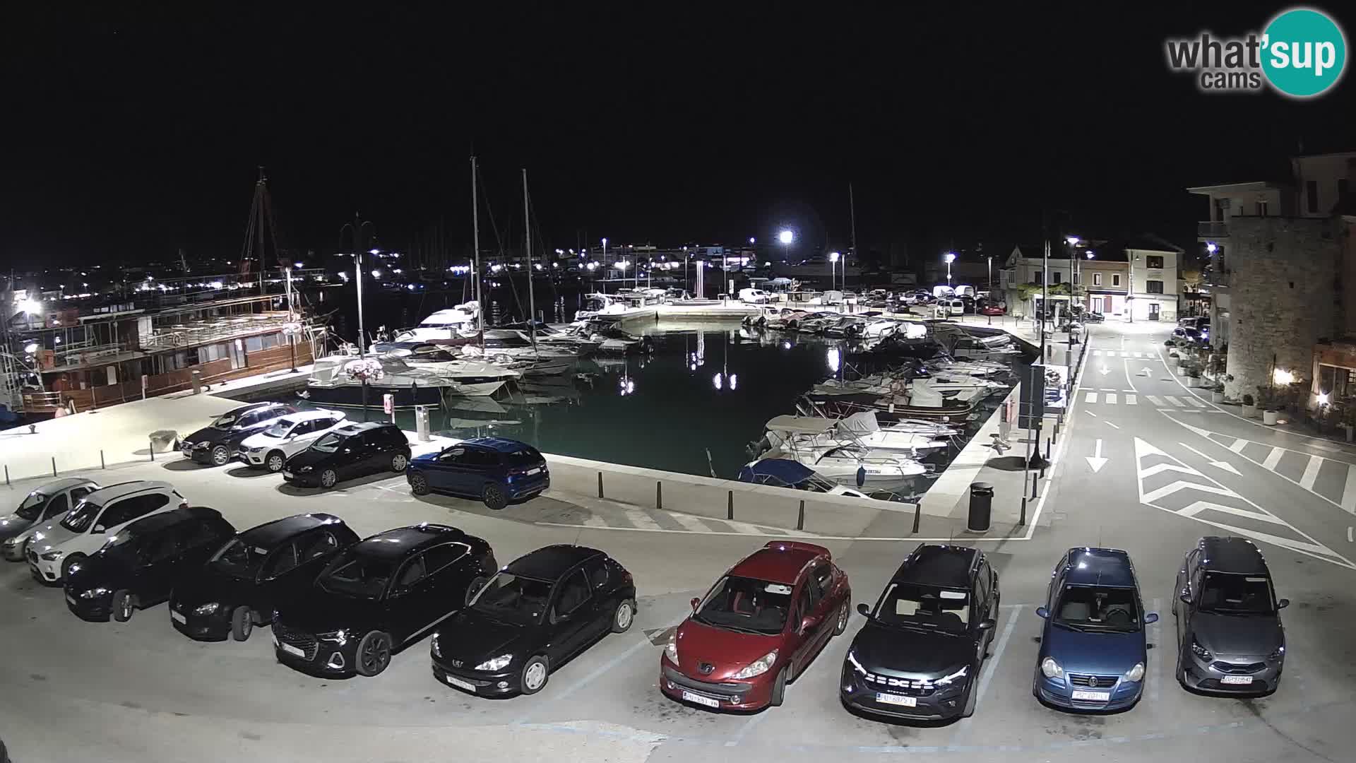 Novigrad | Porporela marina