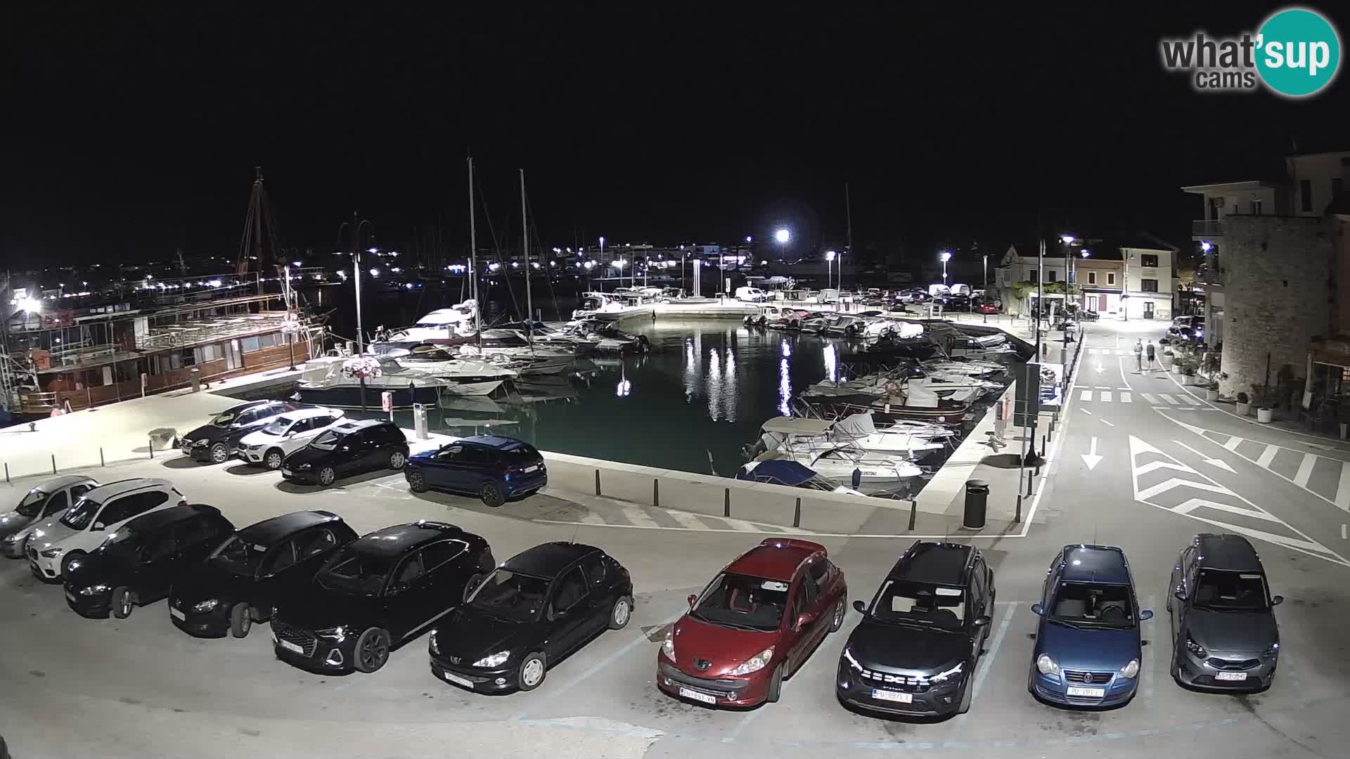 Novigrad | Porporela marina