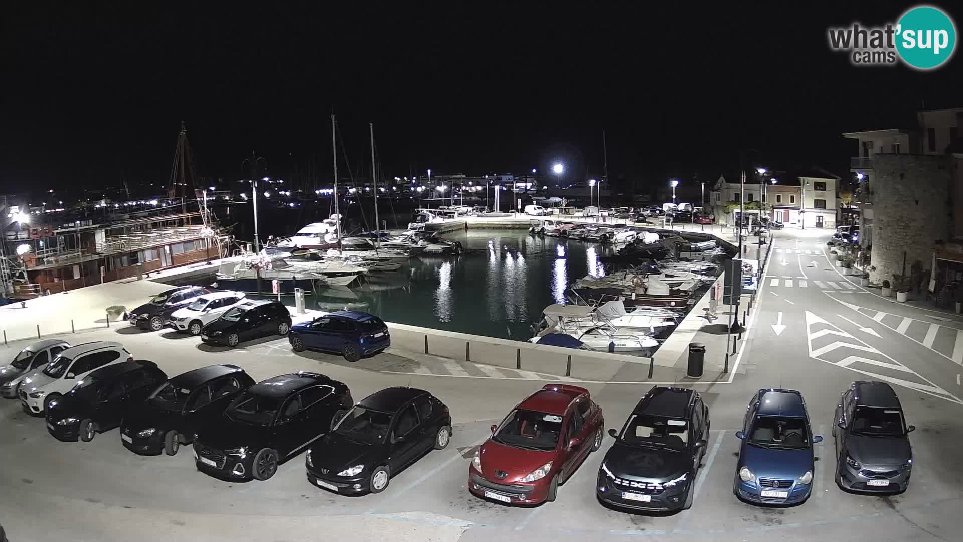Novigrad | Porporela marina