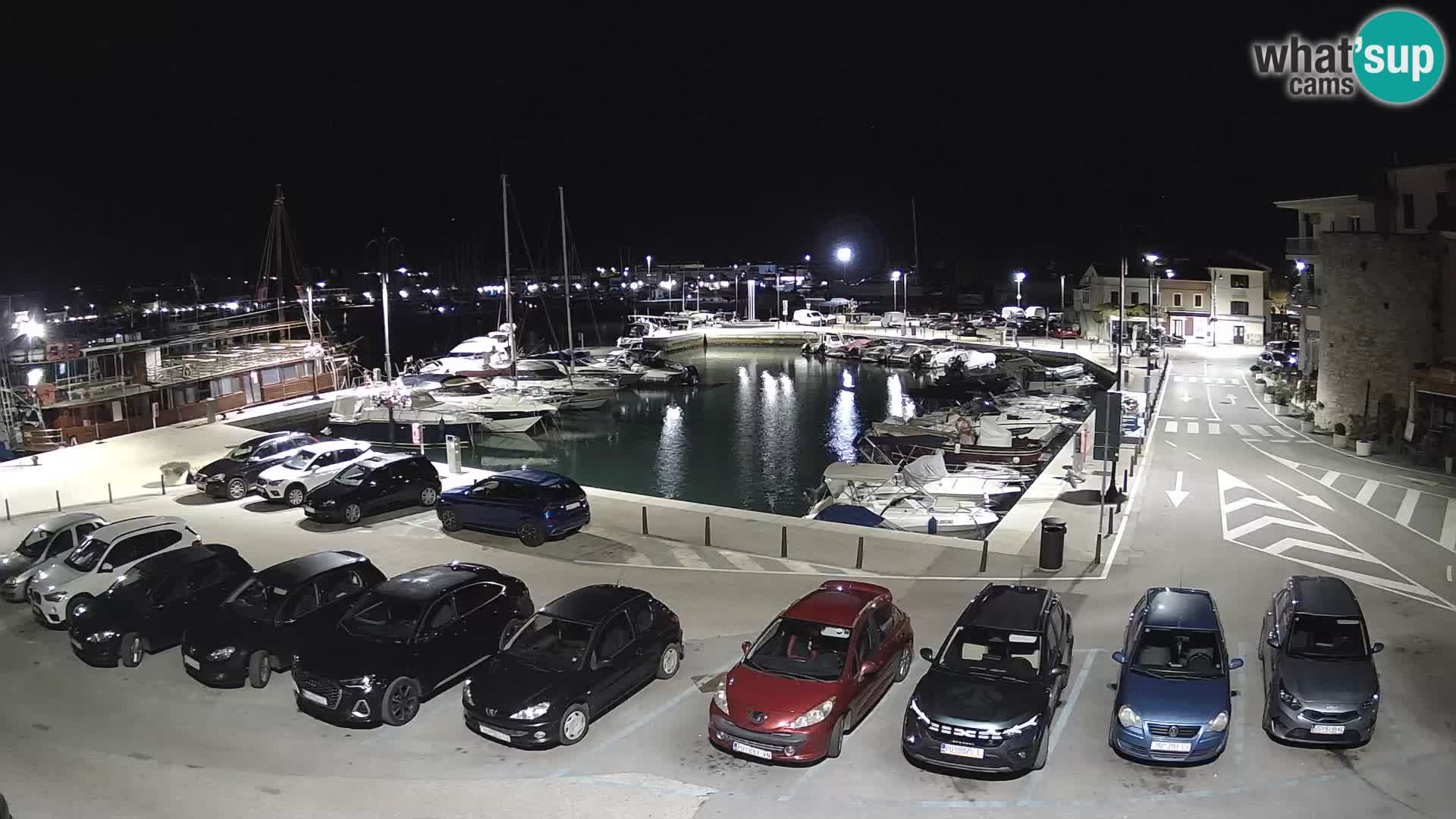 Novigrad | Porporela marina