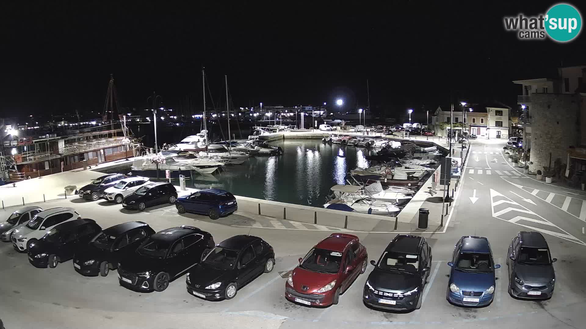Novigrad | Porporela marina