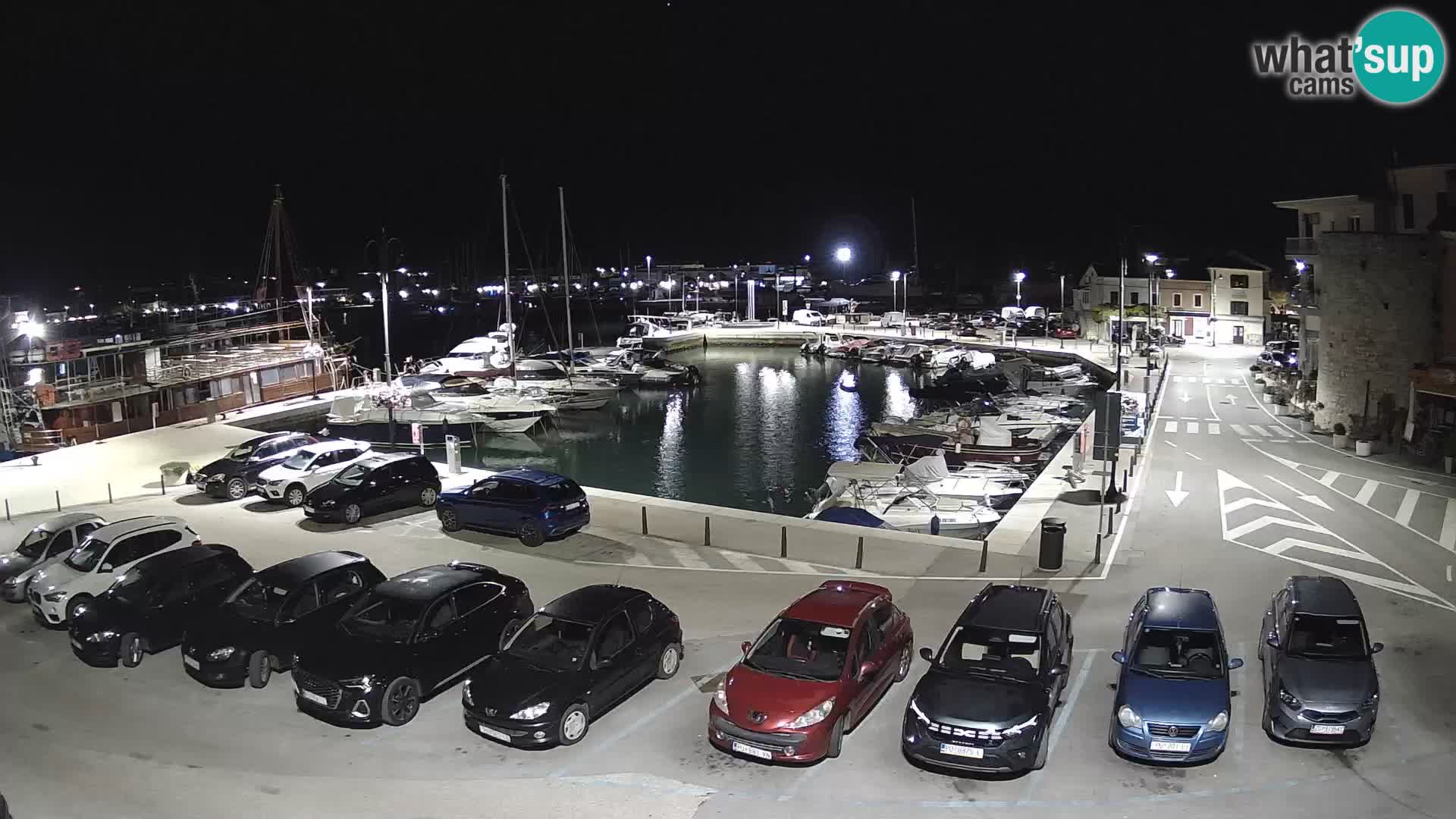 Novigrad | Porporela marina