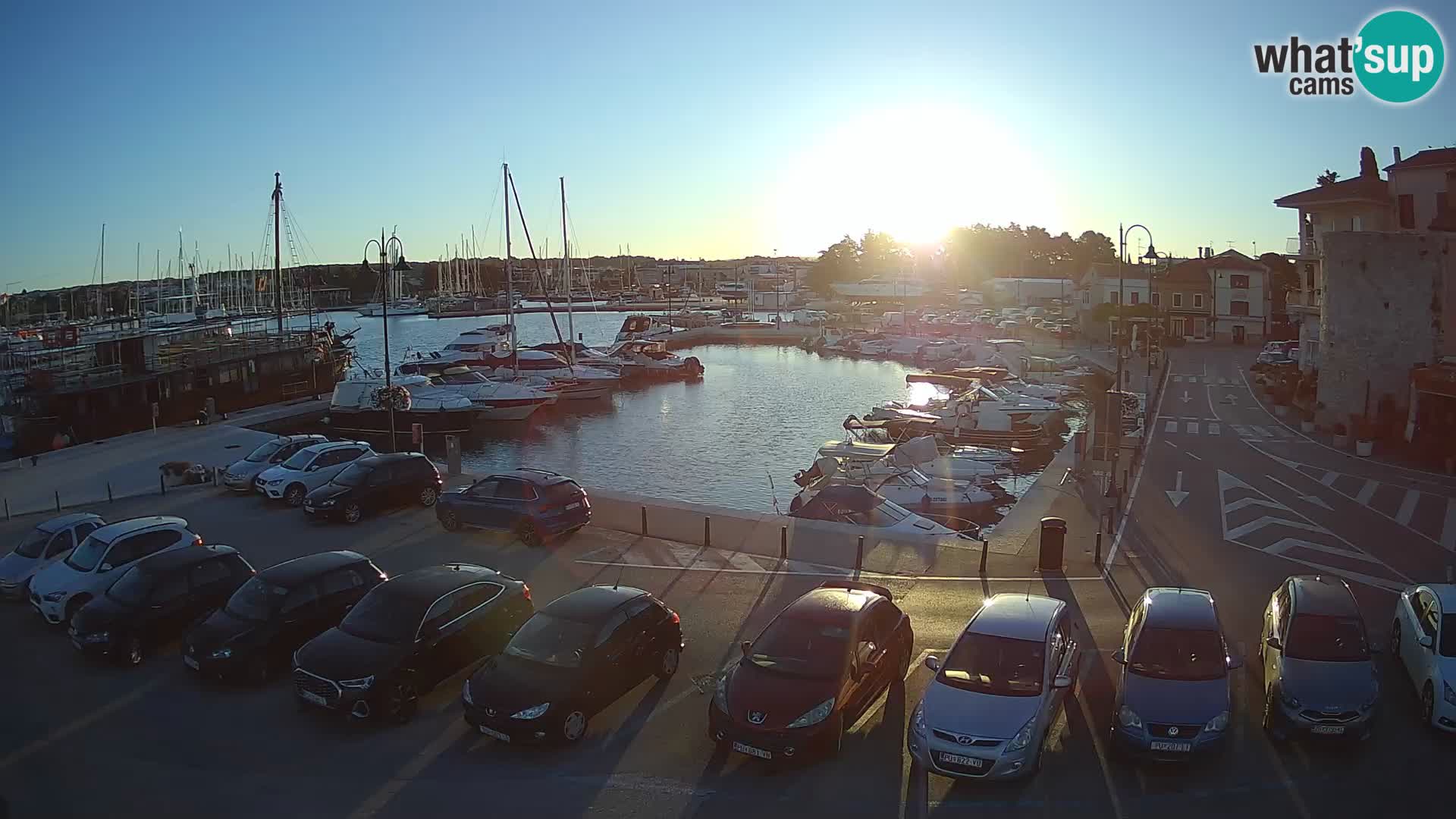 Novigrad | Porporela marina
