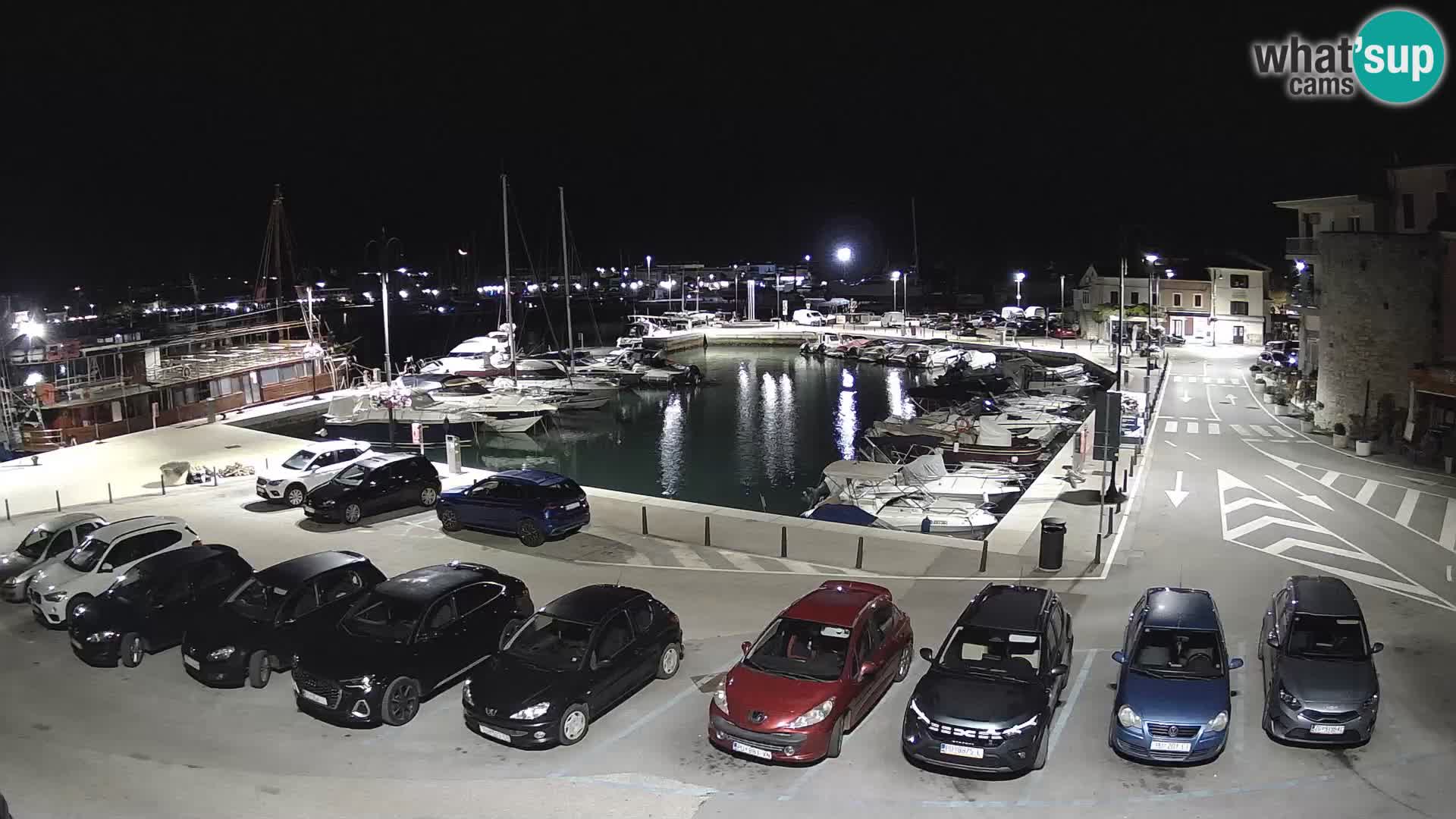Novigrad | Porporela marina