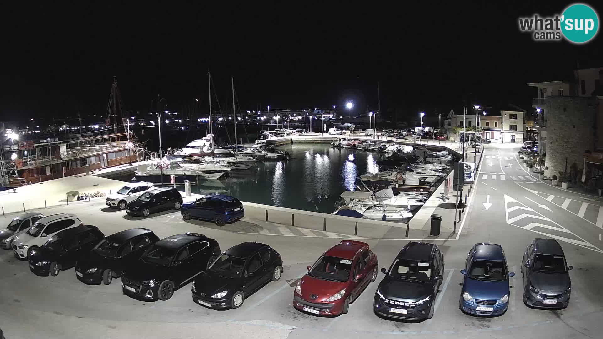 Novigrad | Porporela marina