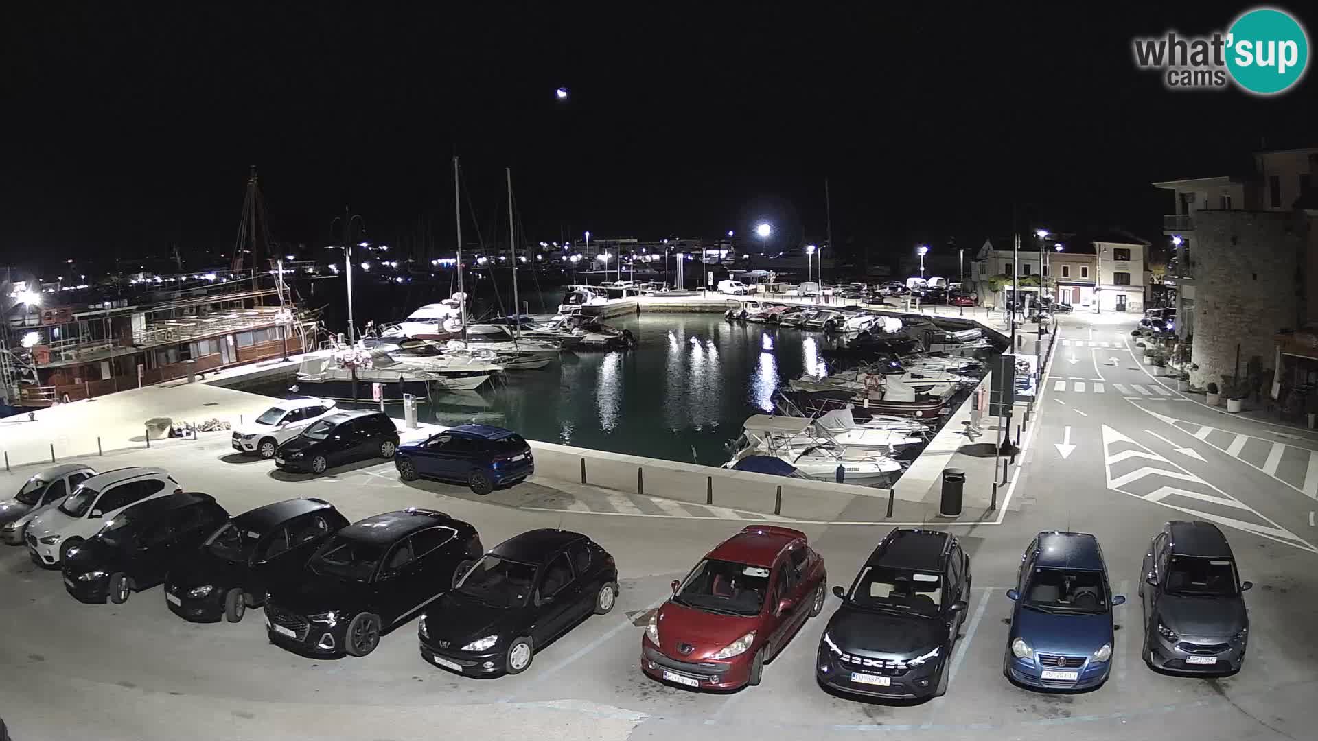 Novigrad | Porporela marina