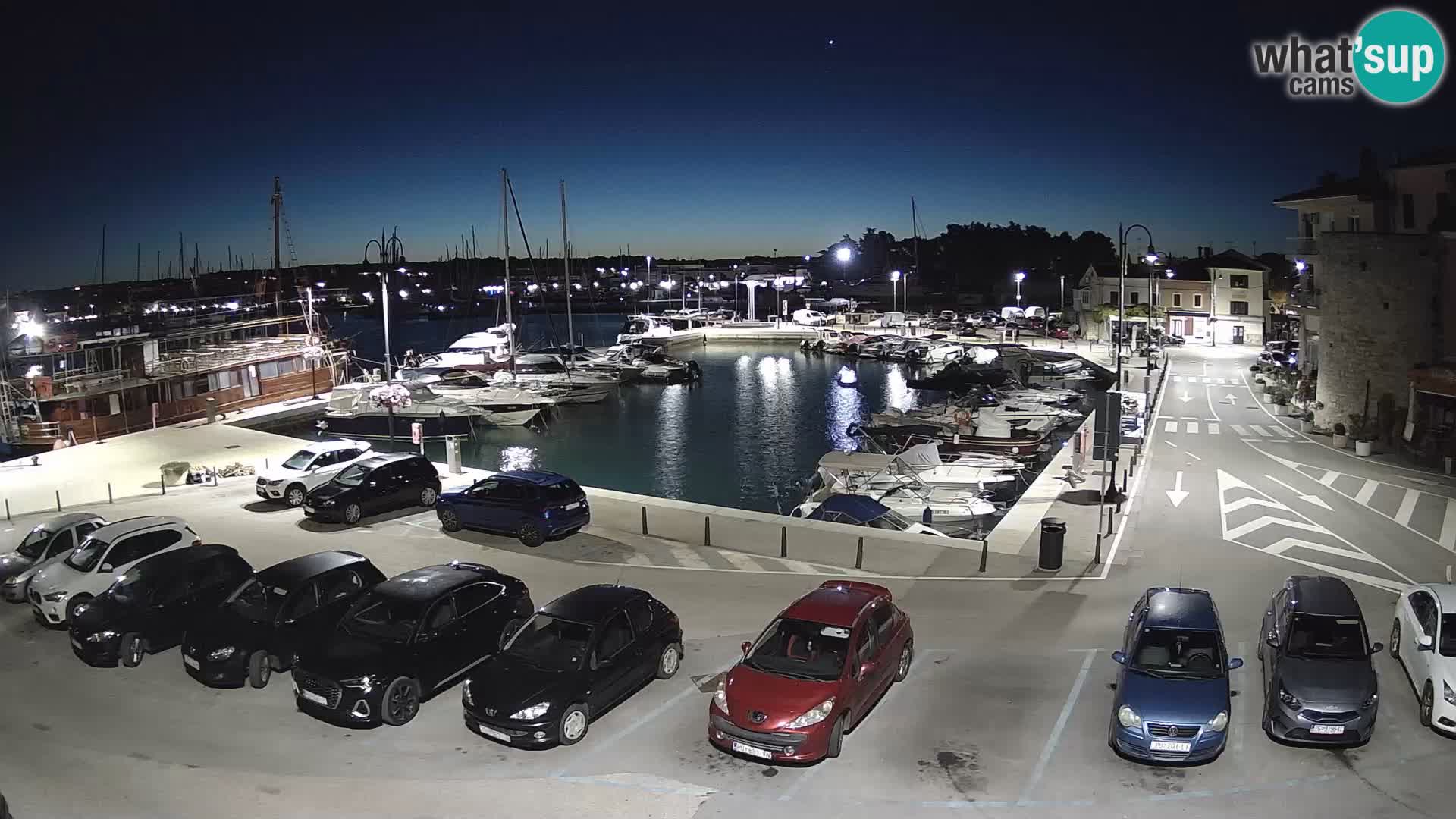Novigrad | Porporela marina