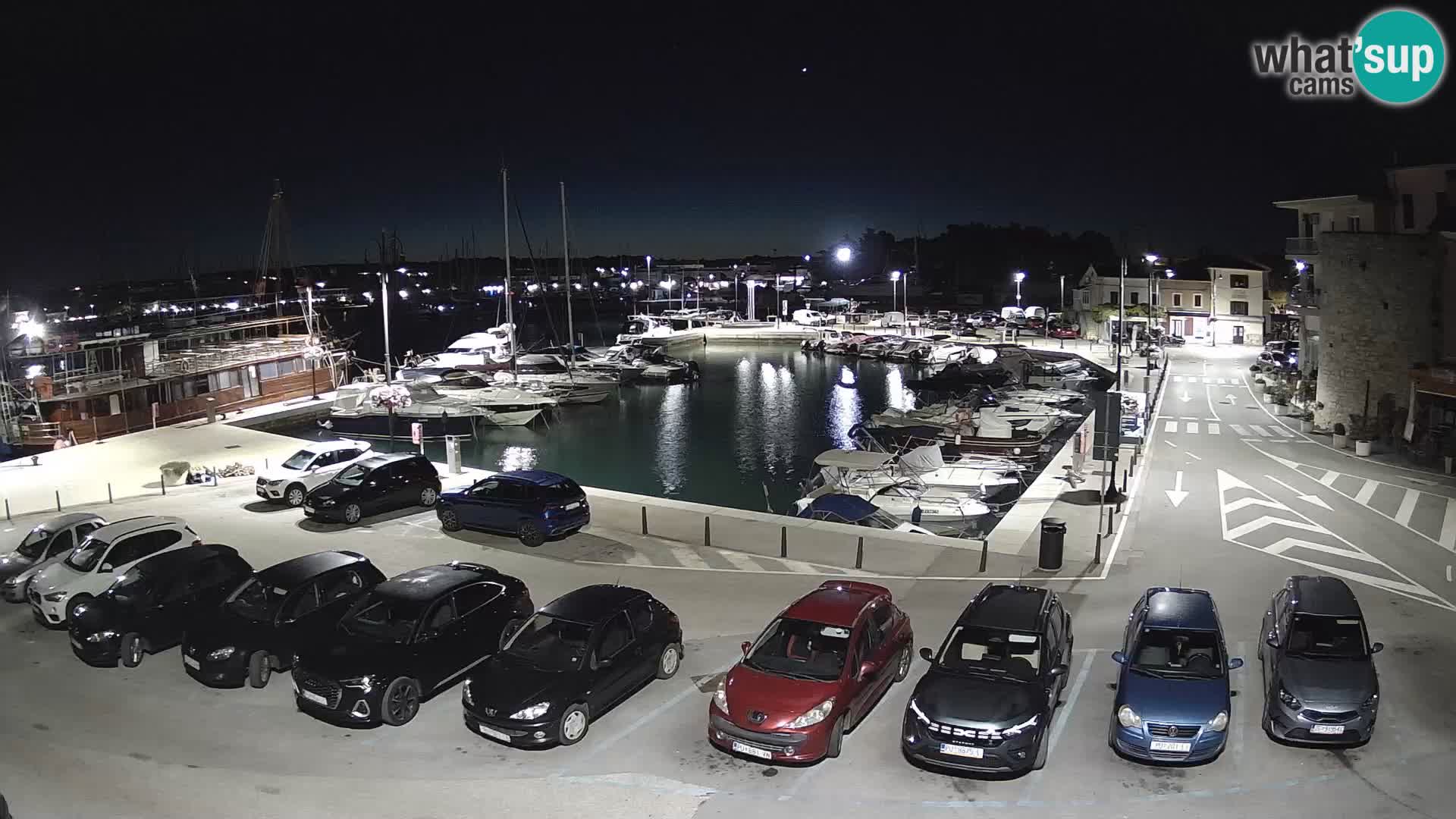 Novigrad | Porporela marina