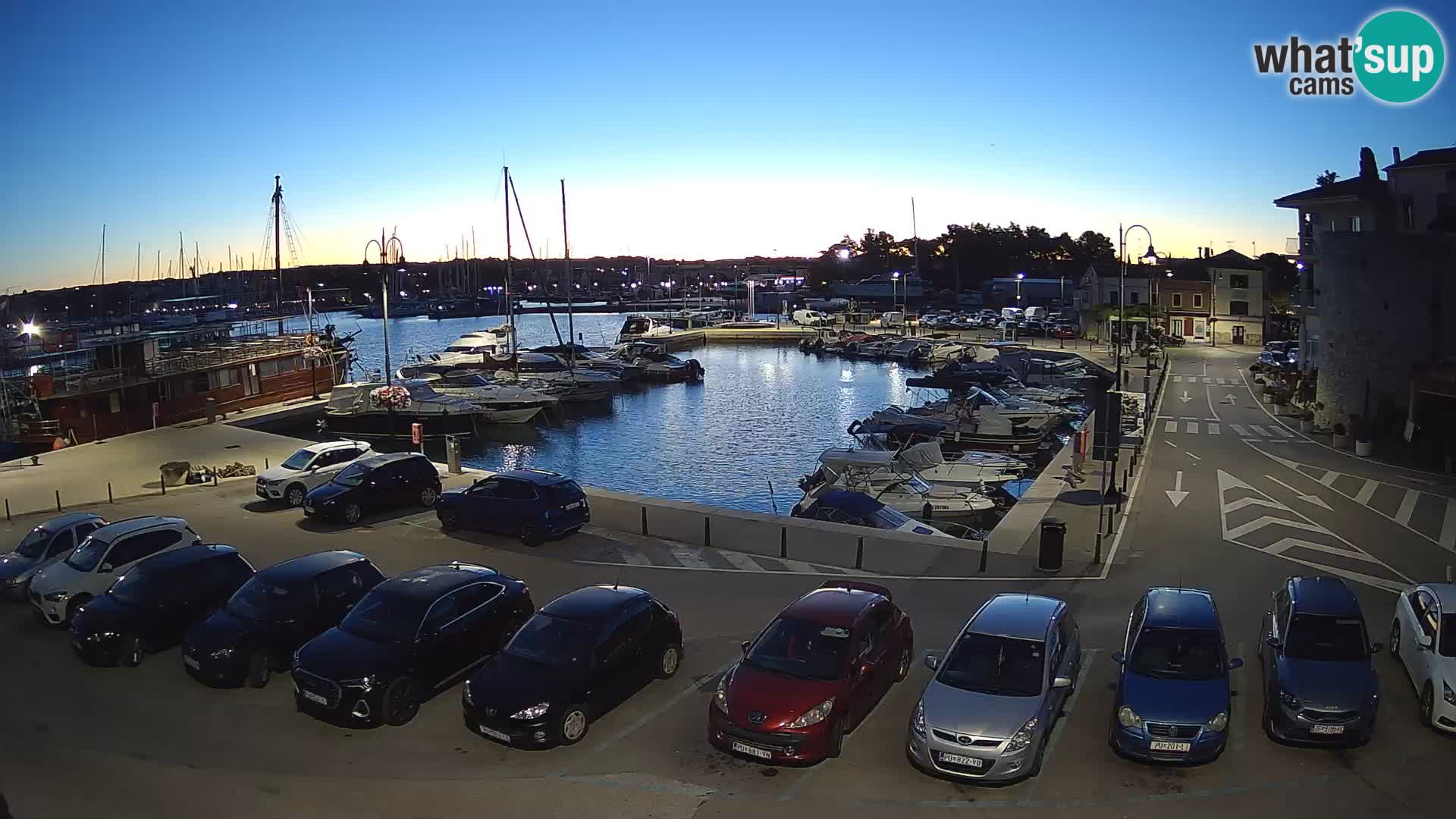 Novigrad | Porporela marina