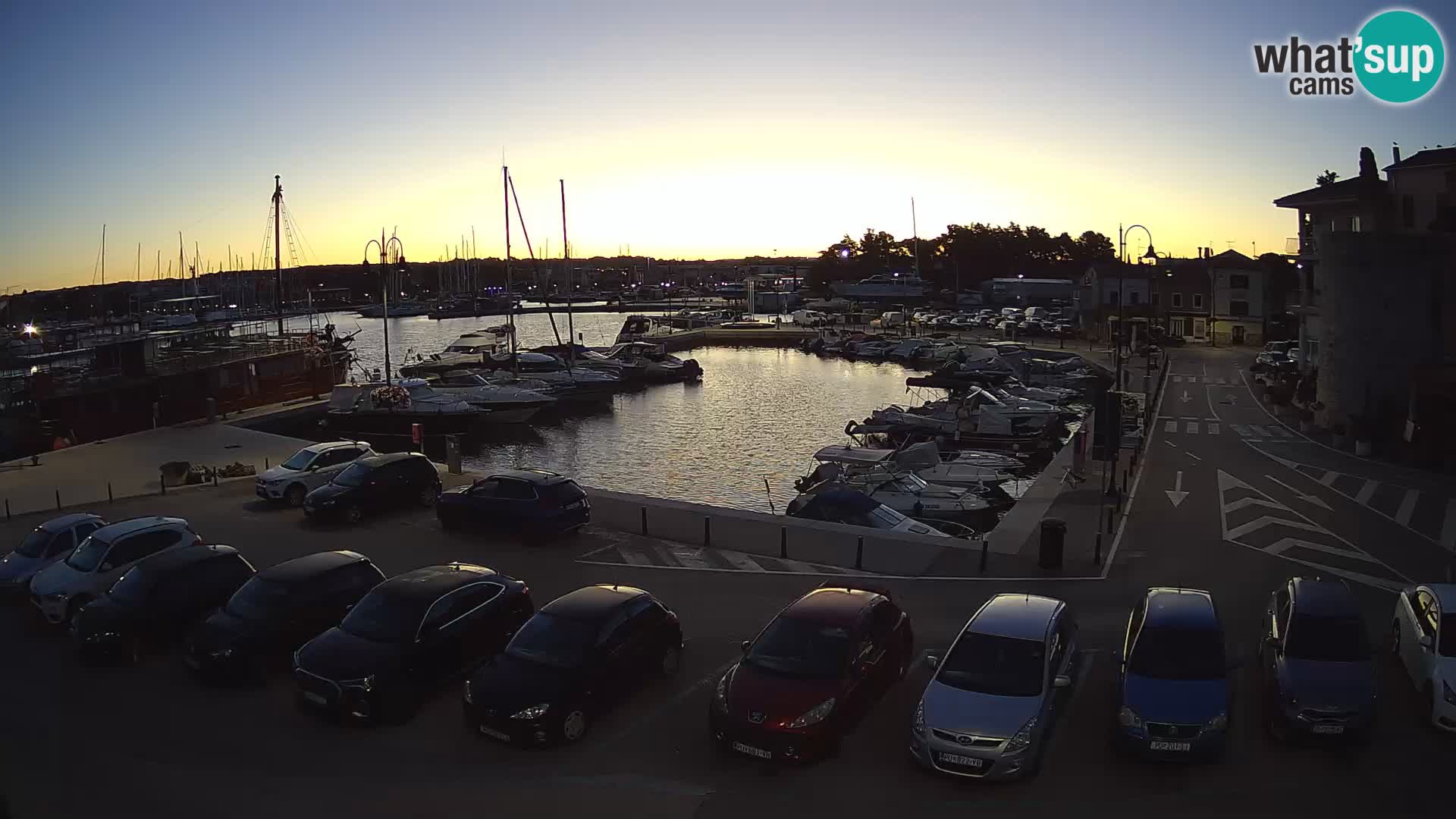 Novigrad | Porporela marina