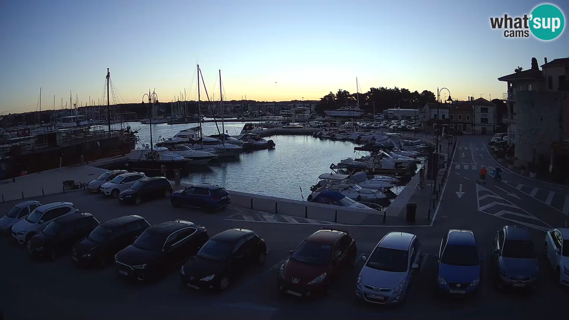 Novigrad | Porporela marina