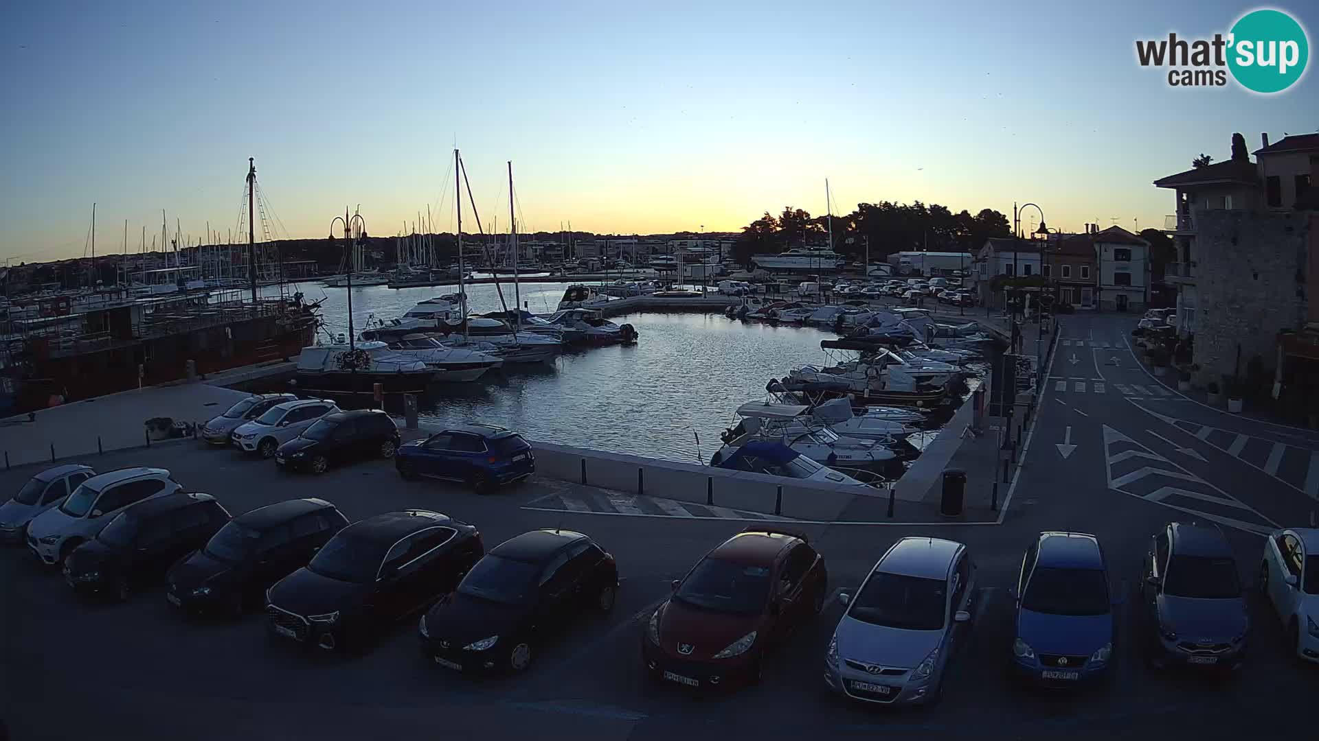 Novigrad | Porporela marina