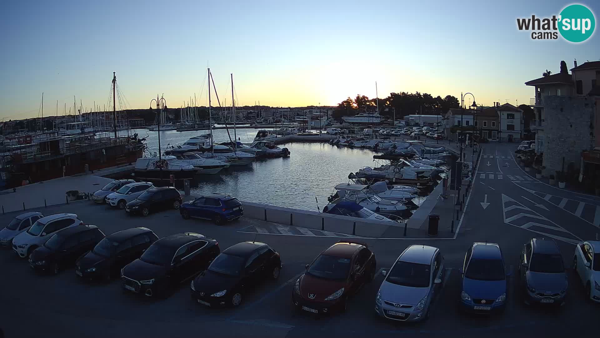 Novigrad | Porporela marina