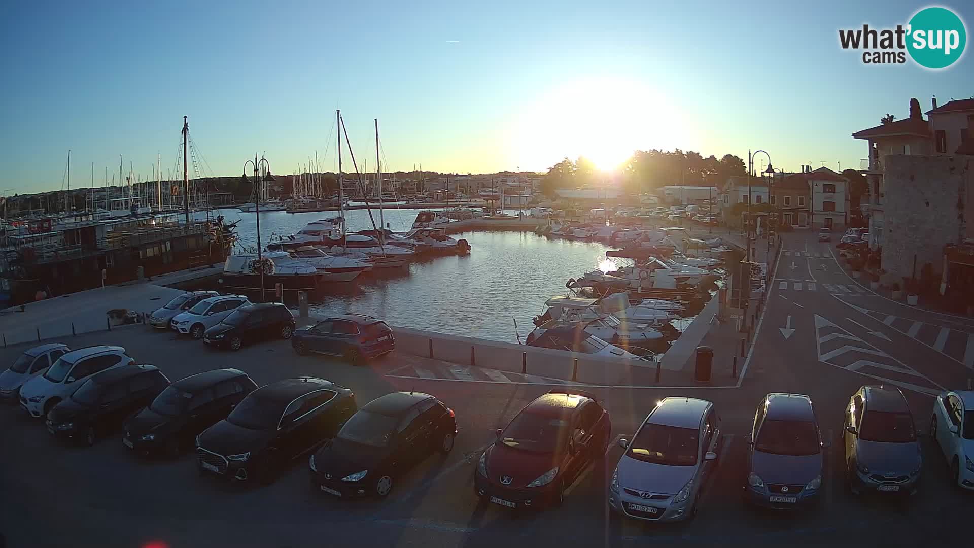 Novigrad | Porporela marina
