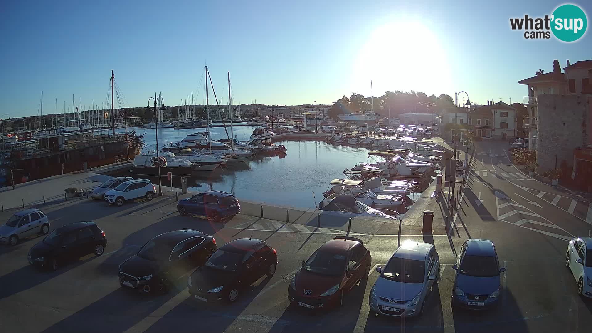 Novigrad | Porporela marina