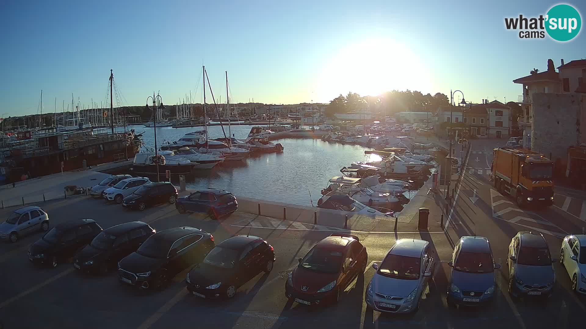 Novigrad | Porporela marina