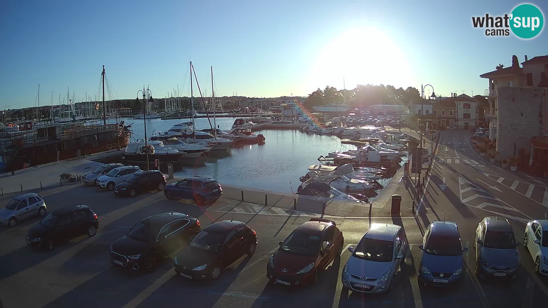 Novigrad | Porporela marina