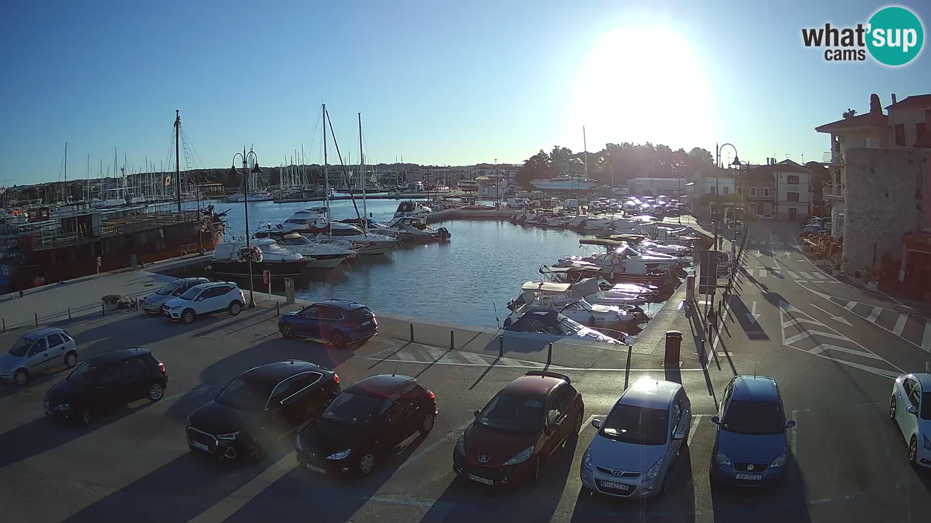 Novigrad | Porporela marina