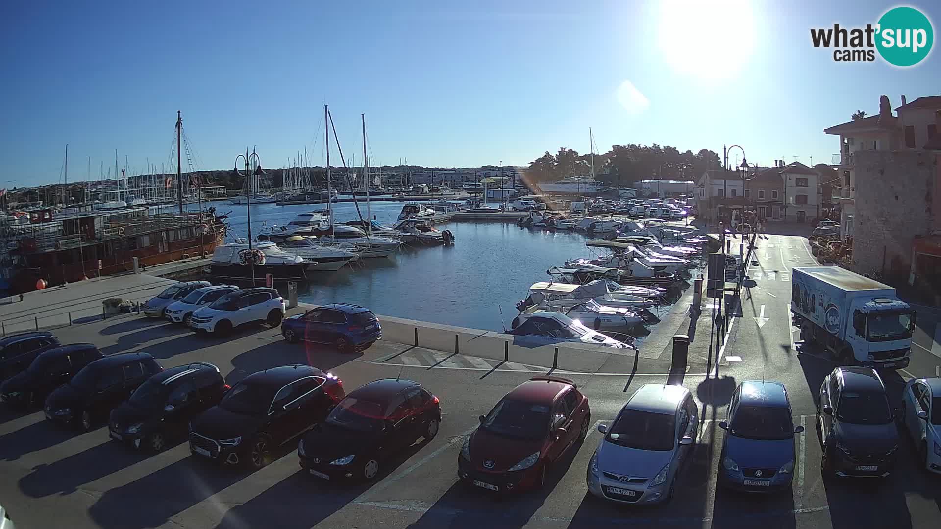 Novigrad | Porporela marina