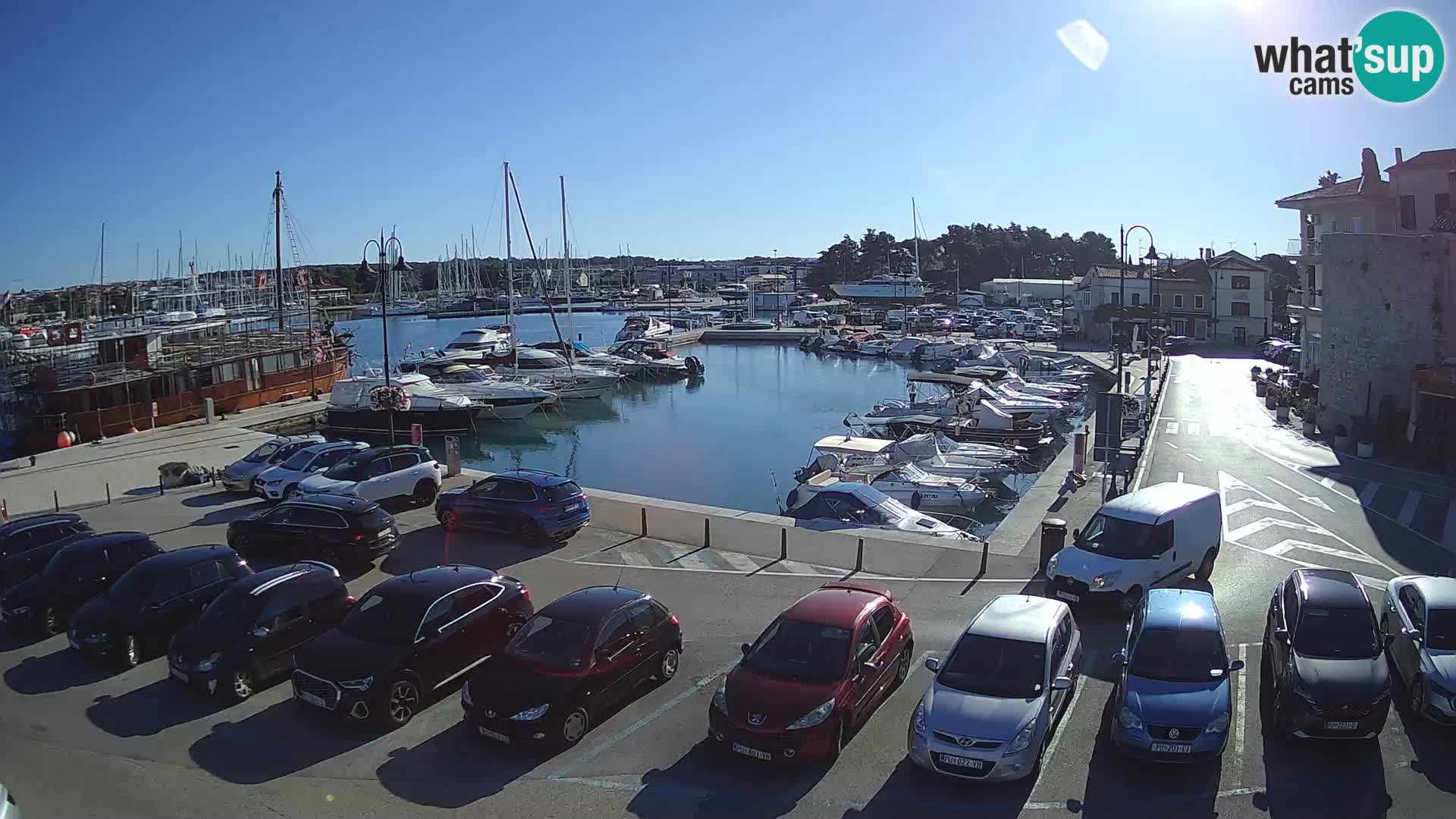 Novigrad | Porporela marina
