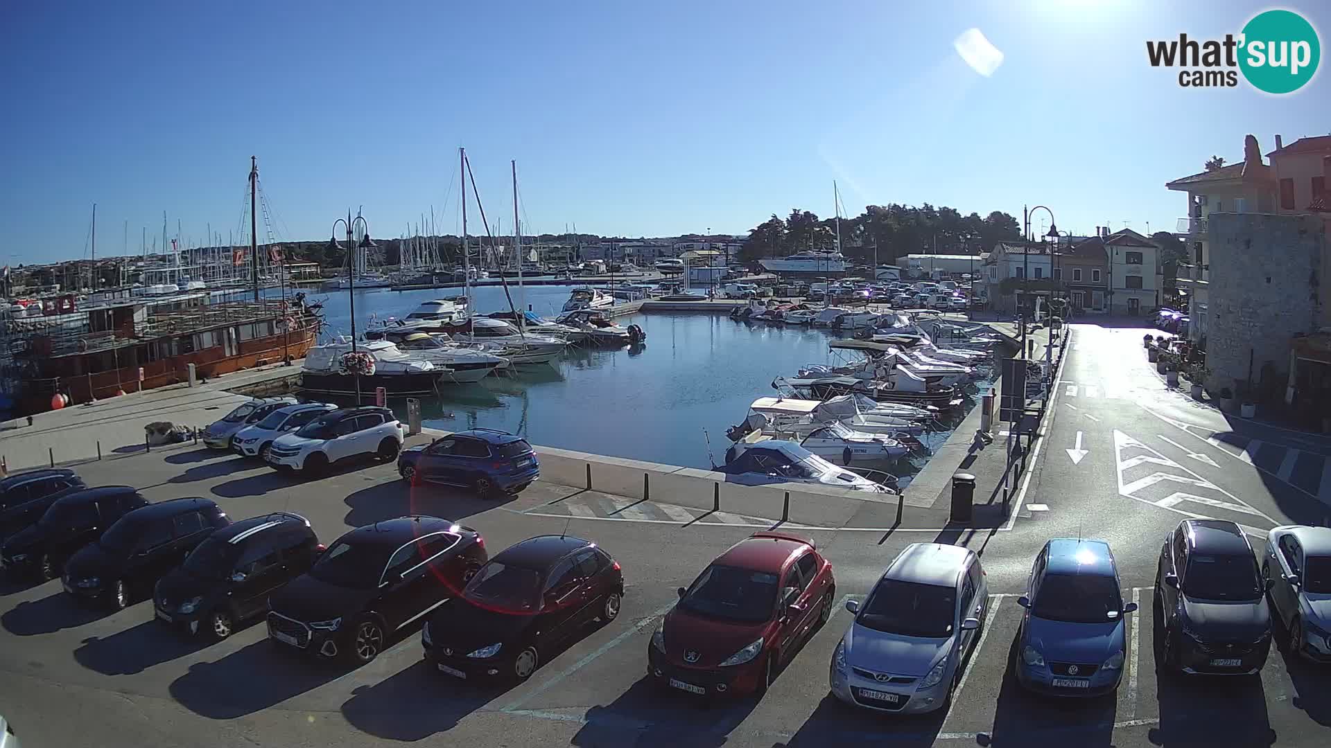 Novigrad | Porporela marina