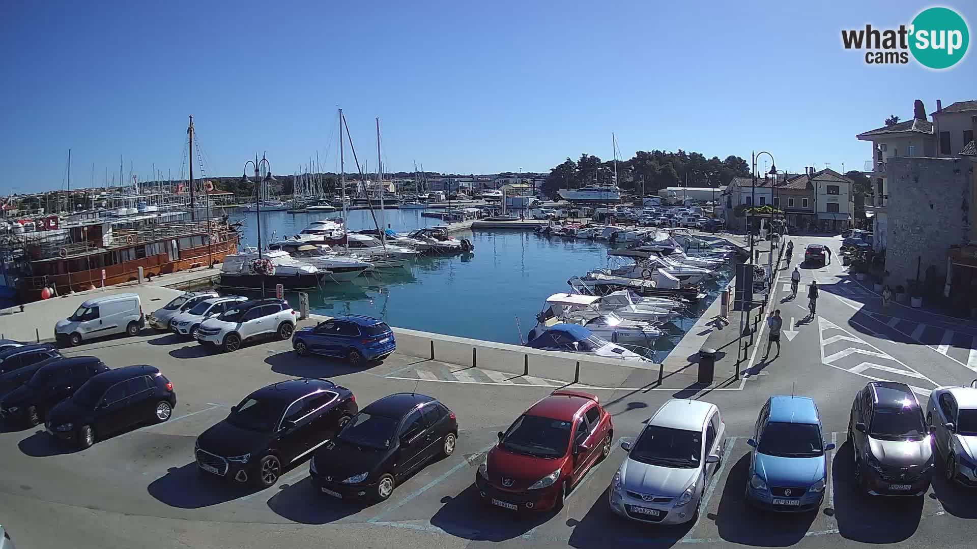 Novigrad | Porporela marina