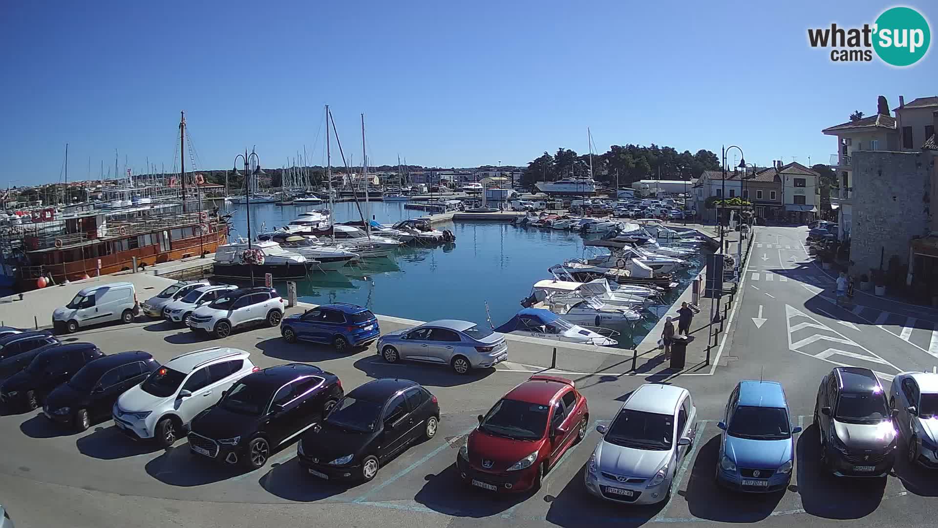 Novigrad | Porporela marina