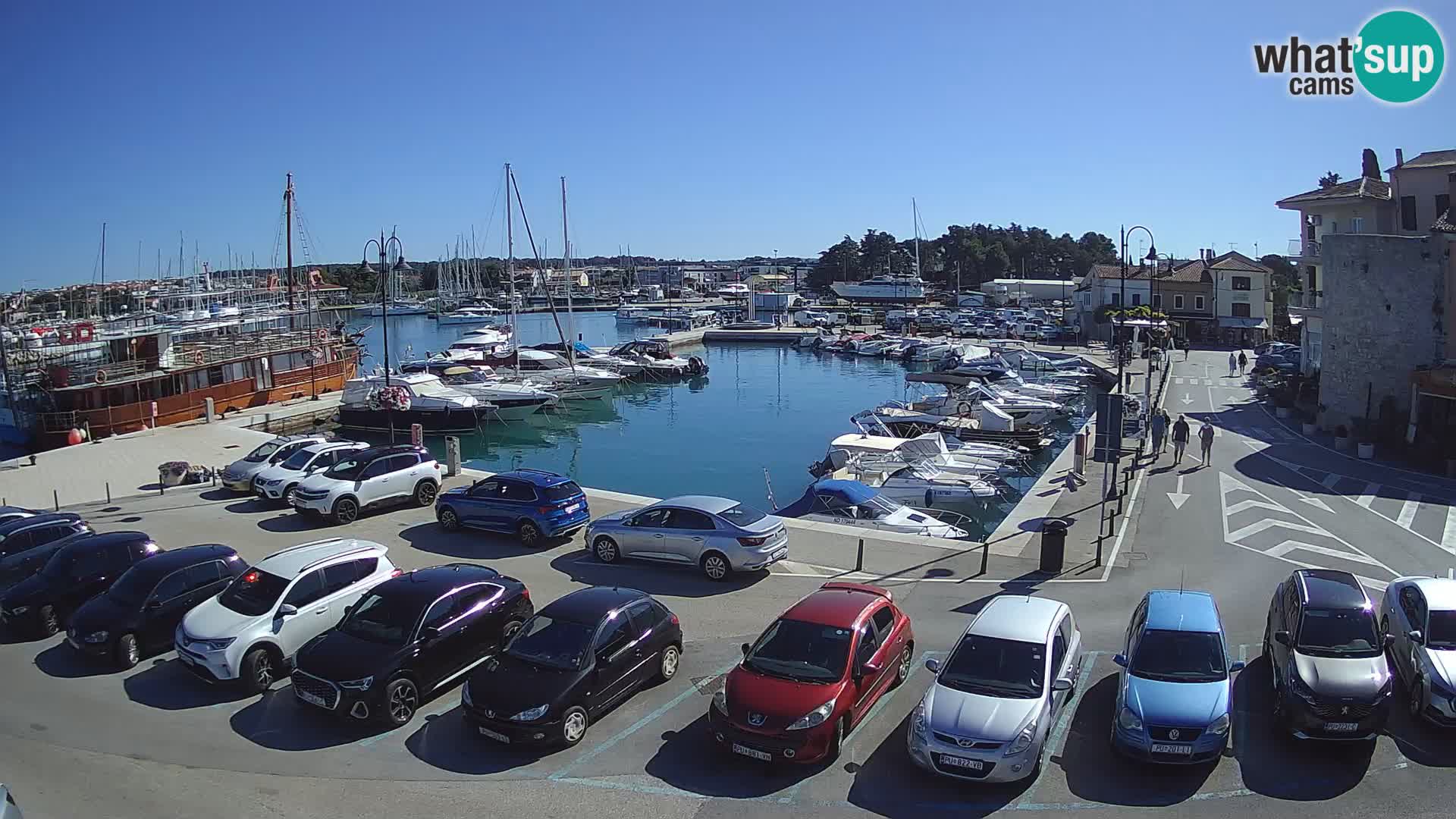 Novigrad | Porporela marina
