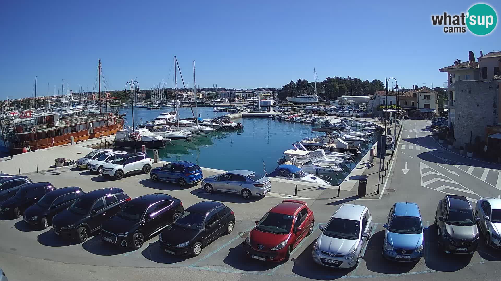 Novigrad | Porporela marina