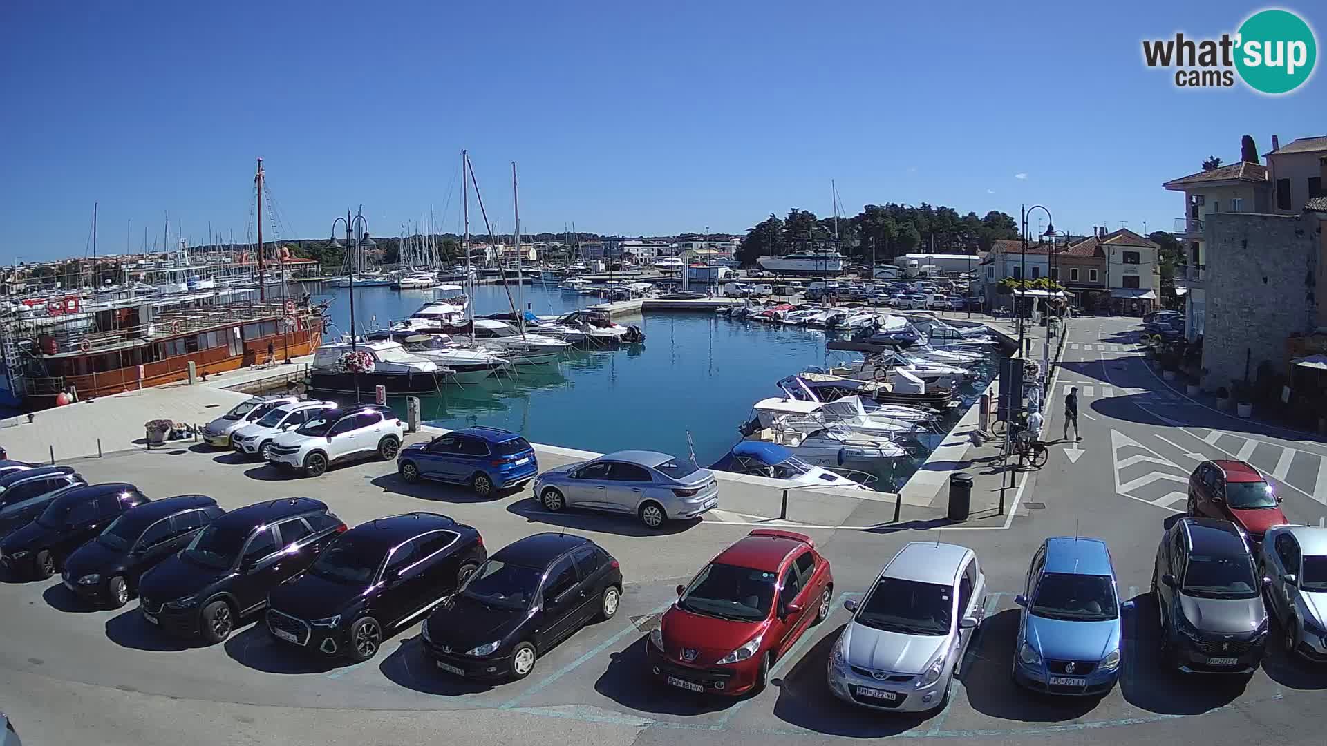 Novigrad | Porporela marina