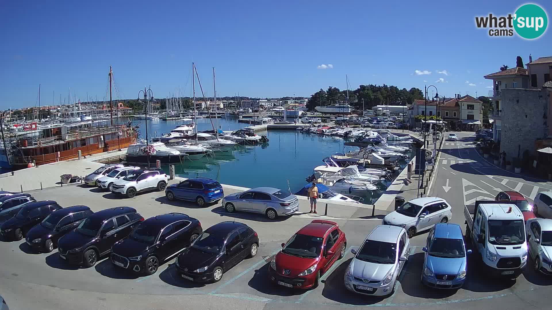 Novigrad | Porporela marina