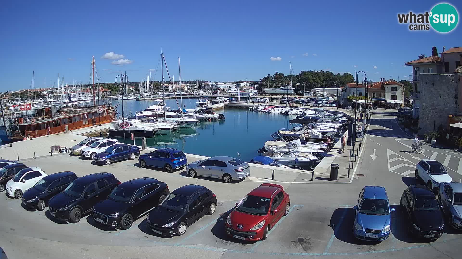 Novigrad | Porporela marina