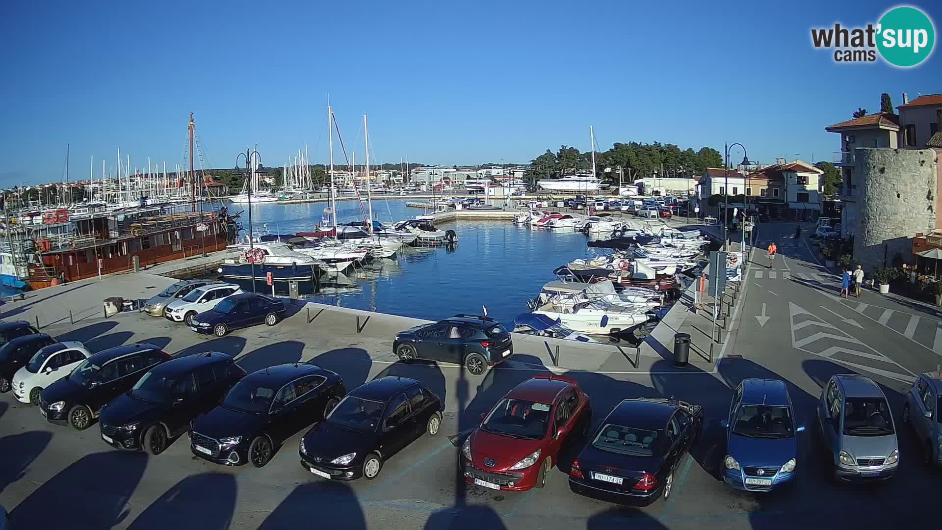 Novigrad | Porporela marina