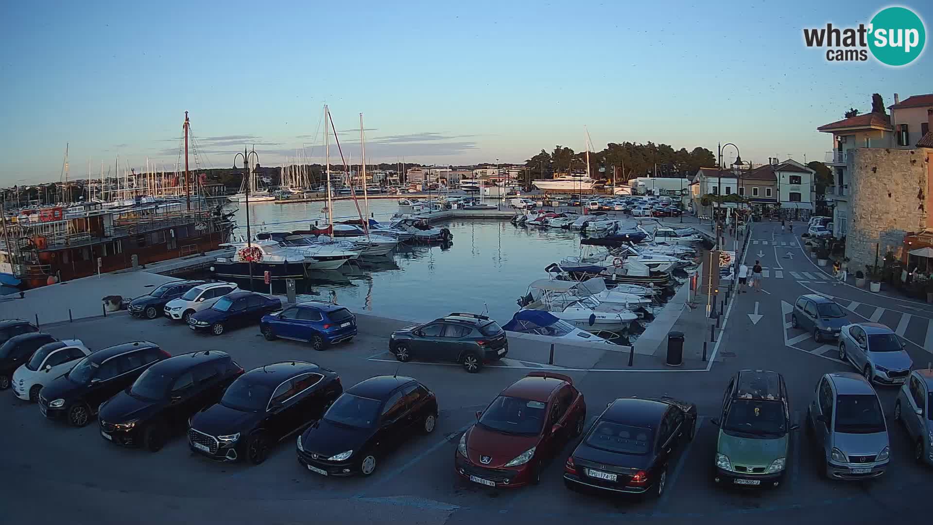 Novigrad | Porporela marina