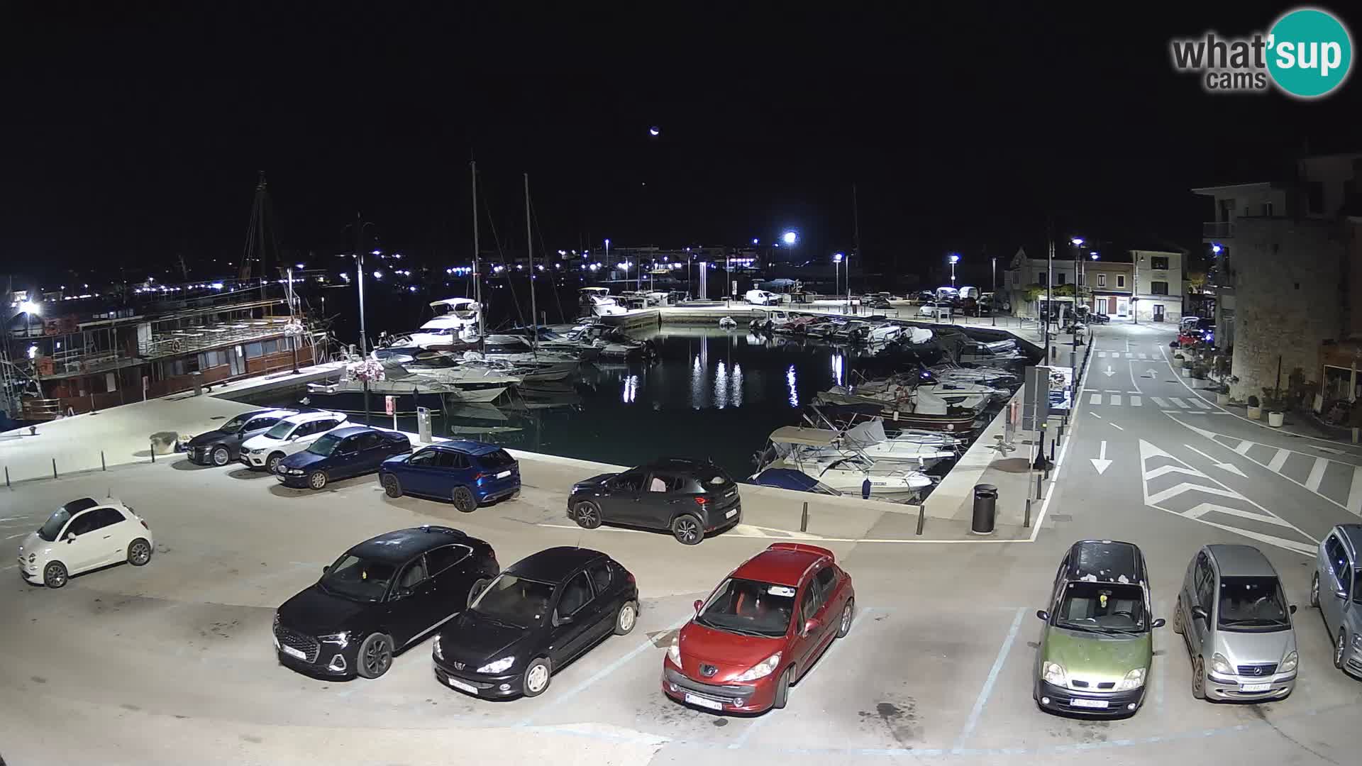 Novigrad | Porporela marina