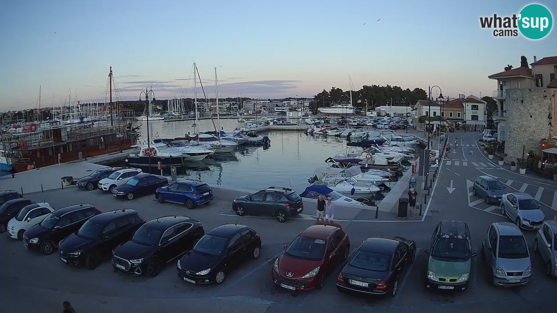 Novigrad | Porporela marina