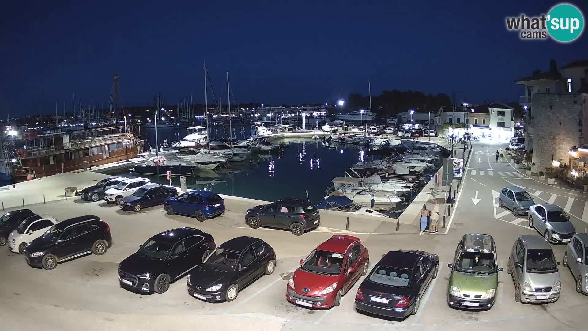 Novigrad | Porporela marina